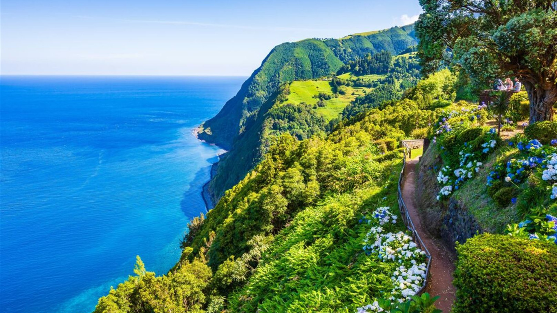 Hiking in Madeira	