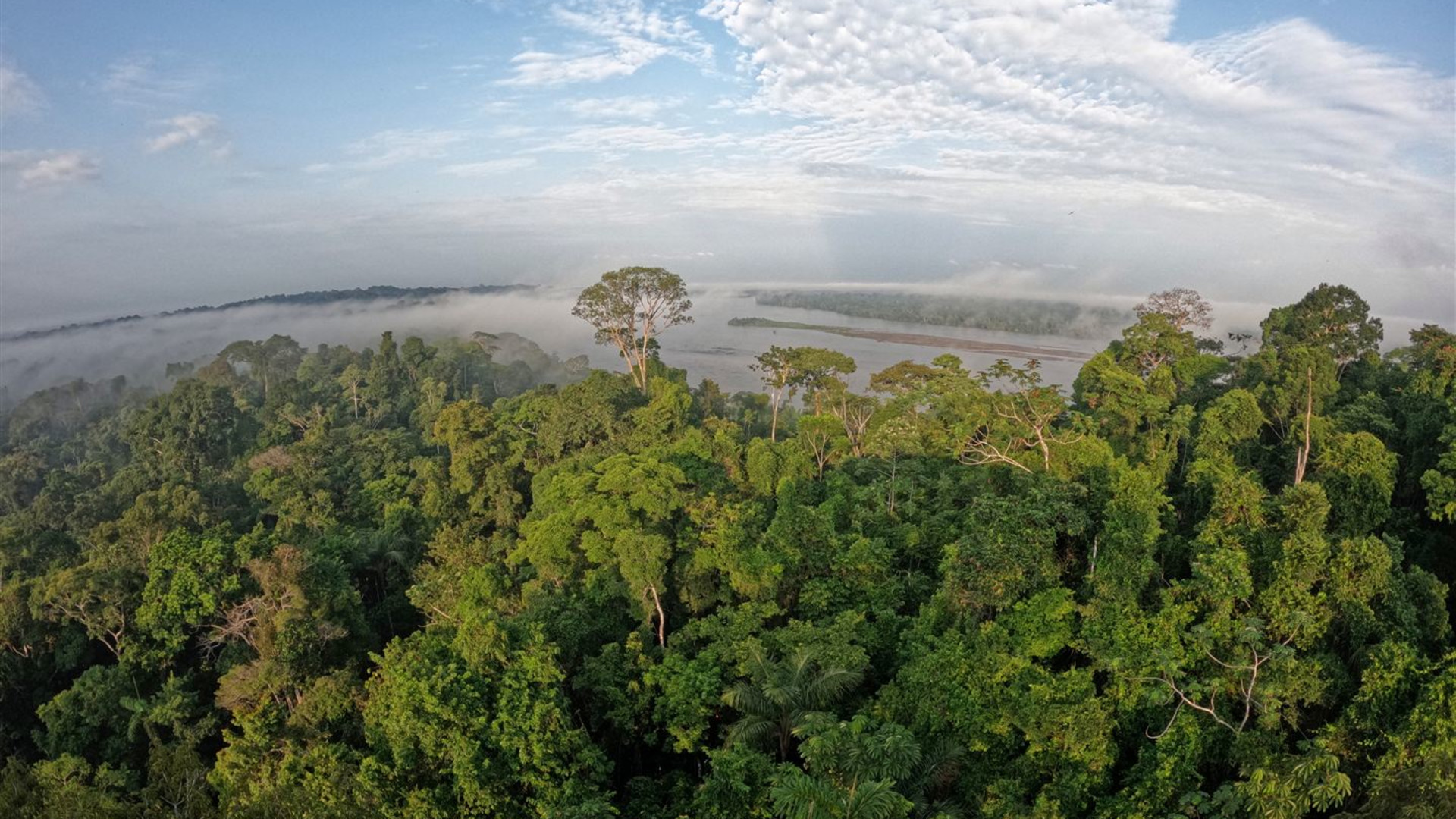 Signature: Ecuador's Amazon Rainforest & Andean Highlands