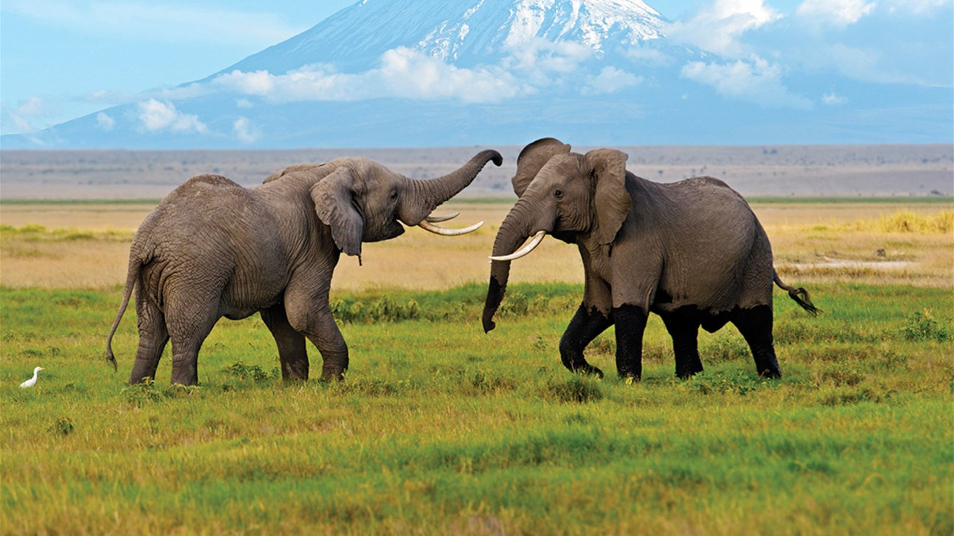 The Maasai Heartlands