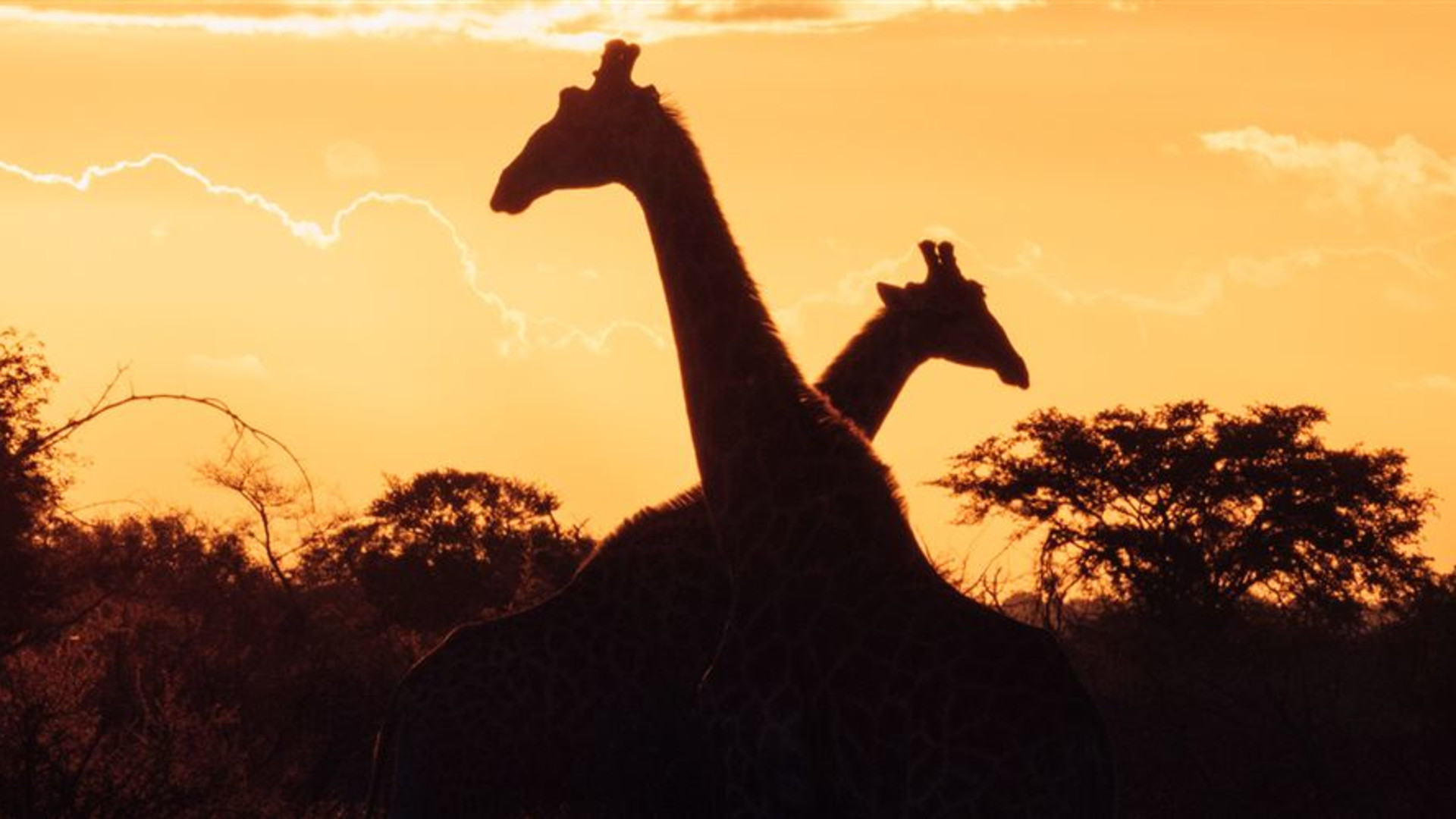 Experience Southern Africa