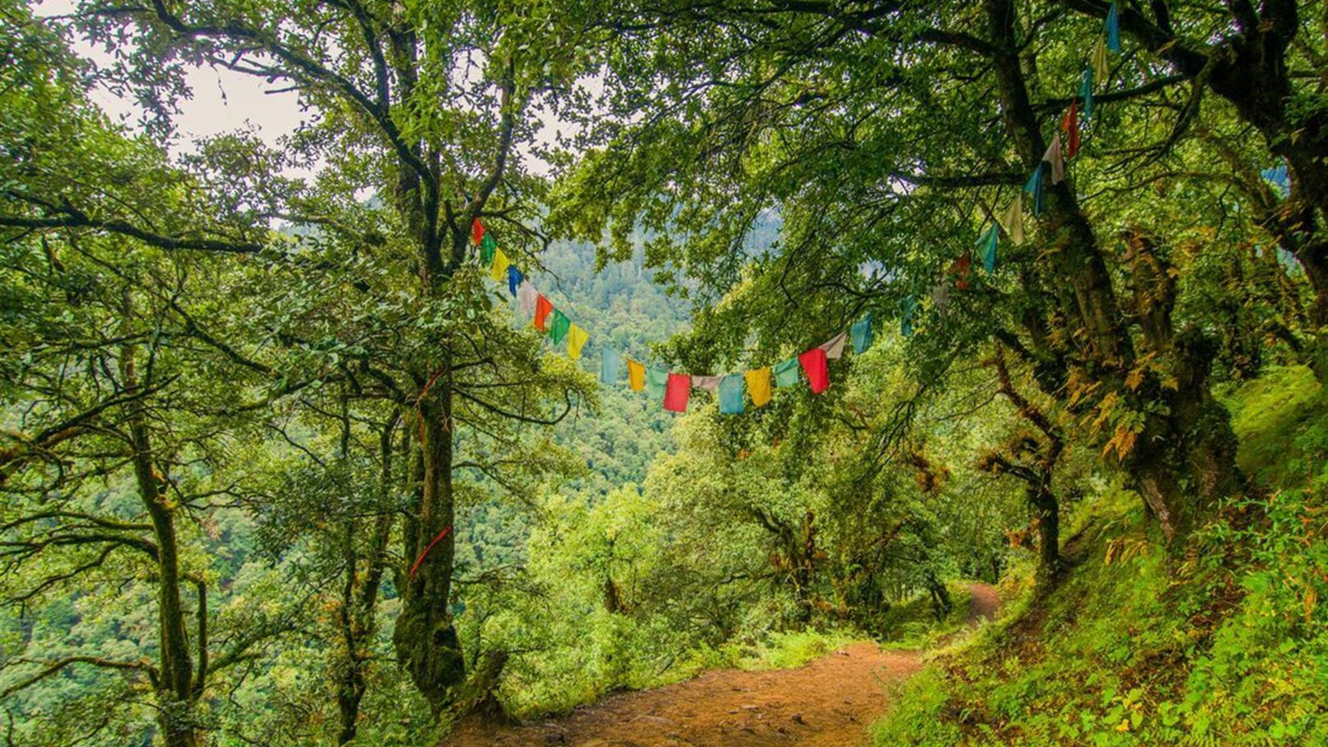  Hike the Trans Bhutan Trail