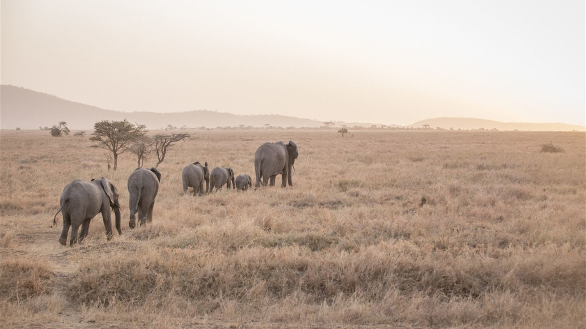 East Africa Highlights
