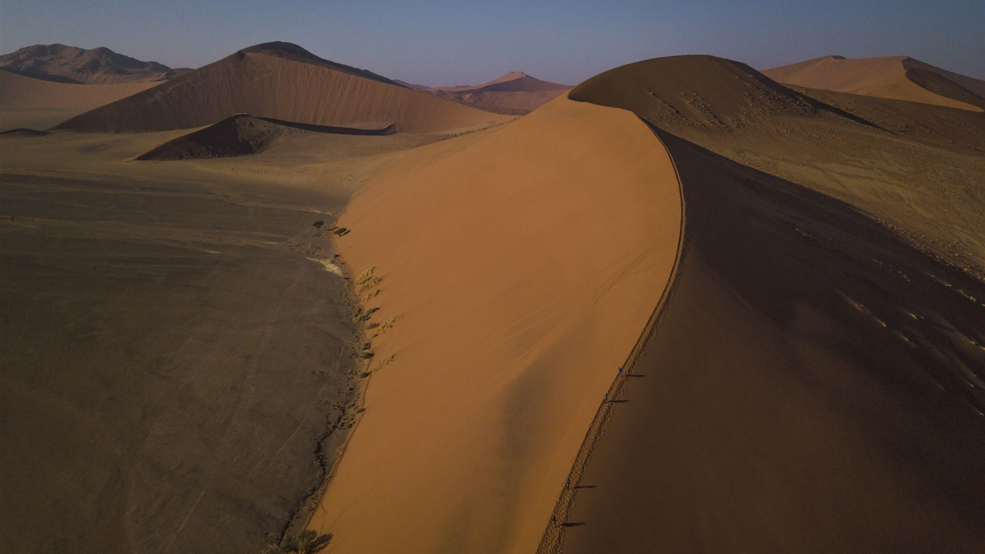Ultimatives Afrika – Safarifahrten & Savannen