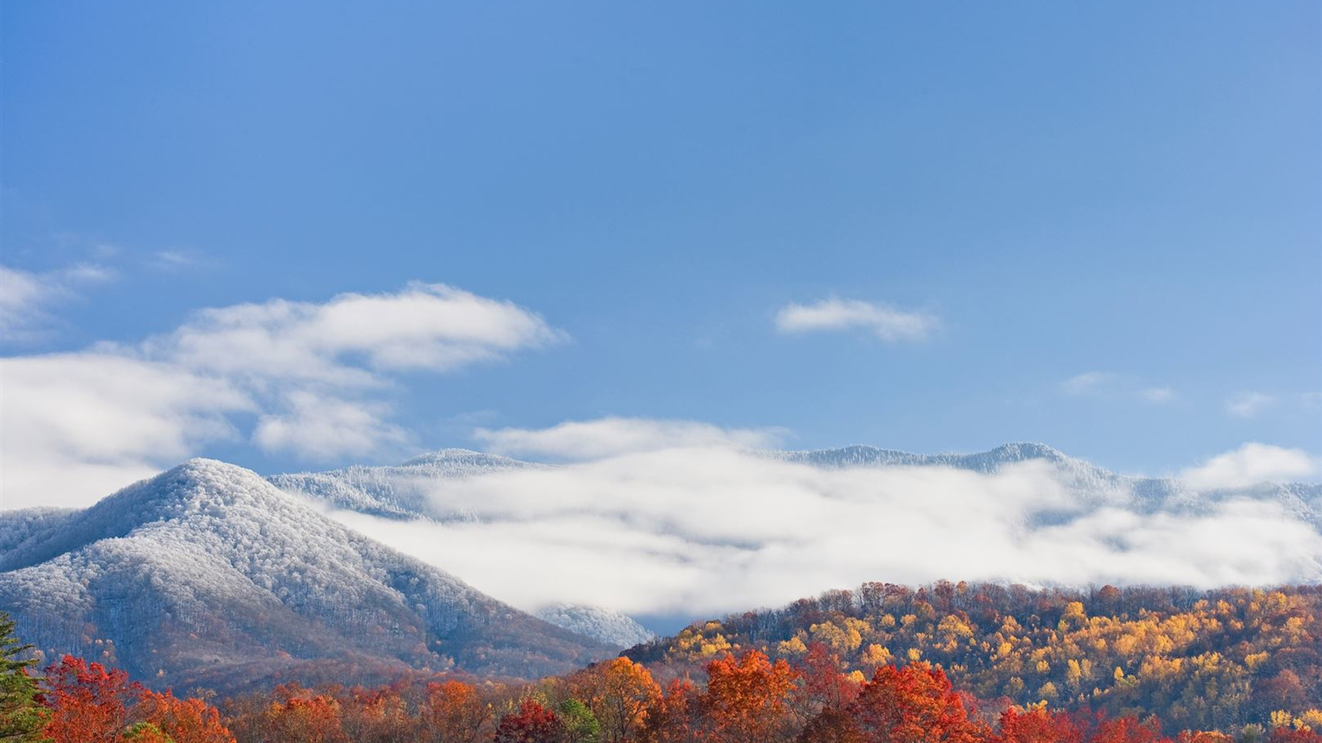 Spectacular National Parks of Eastern USA