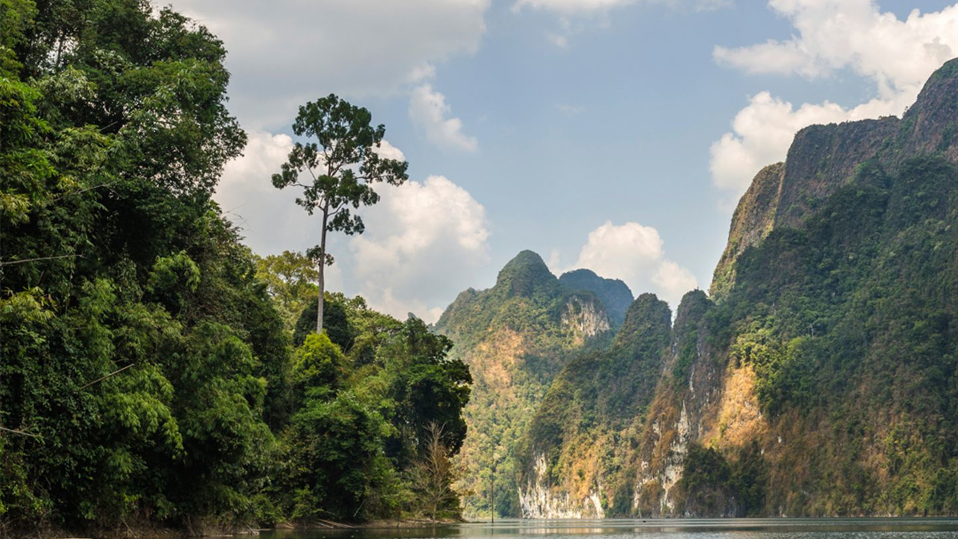 Bangkok to Singapore: Jungle Hikes & Island Nights