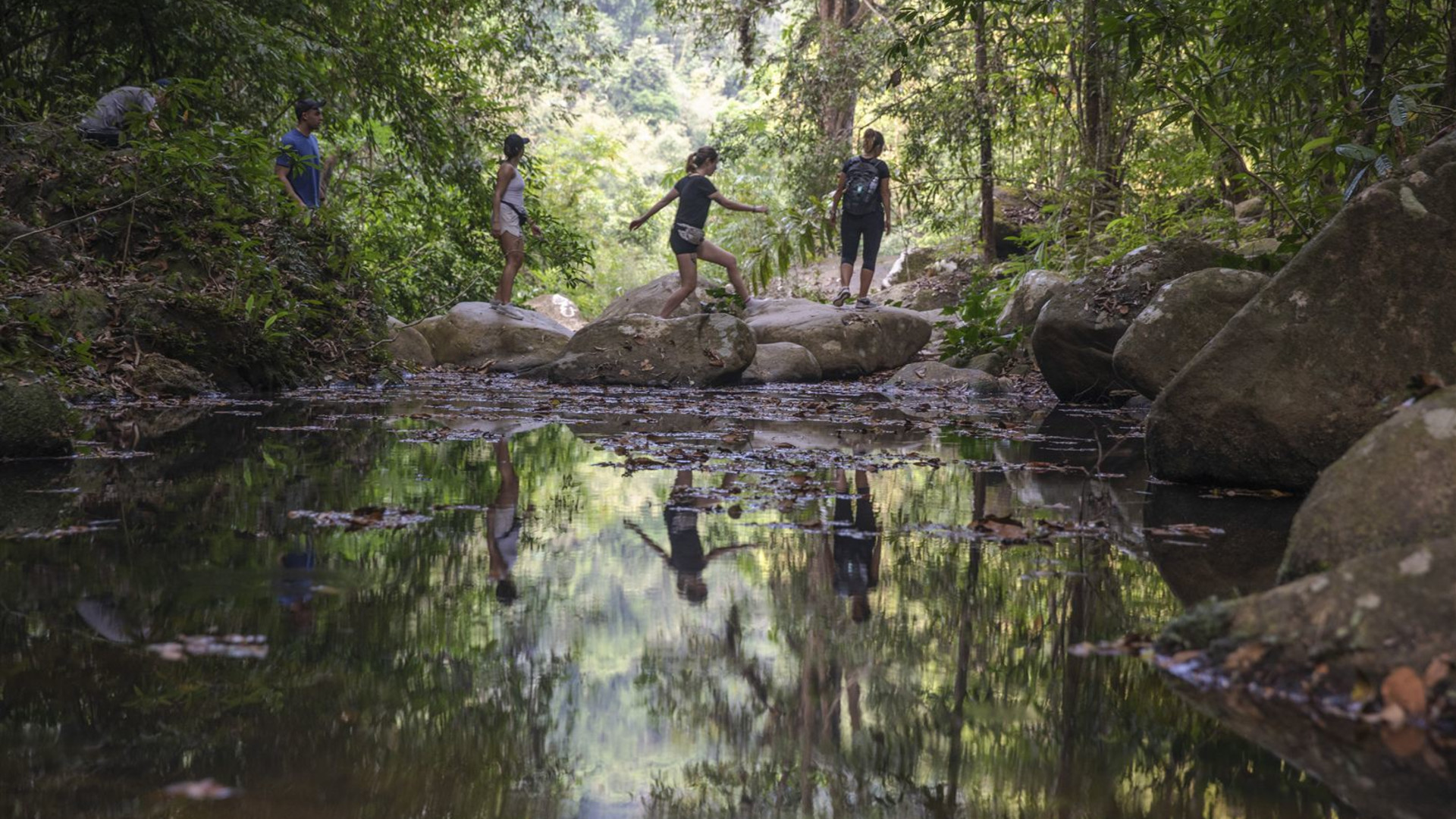 Southern Thailand Sojourn: Nightlife & National Parks