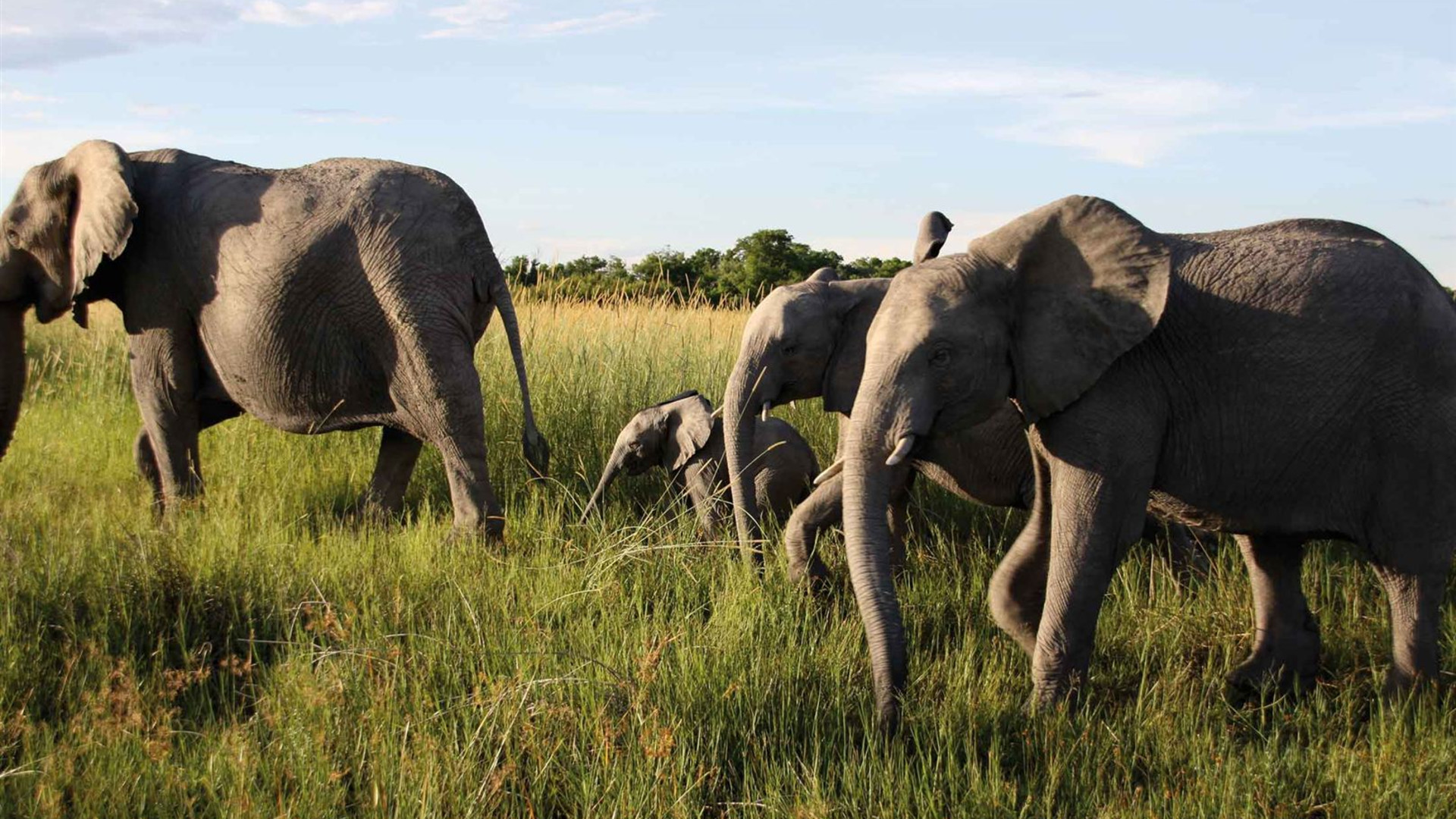 Premium Southern Africa in Depth