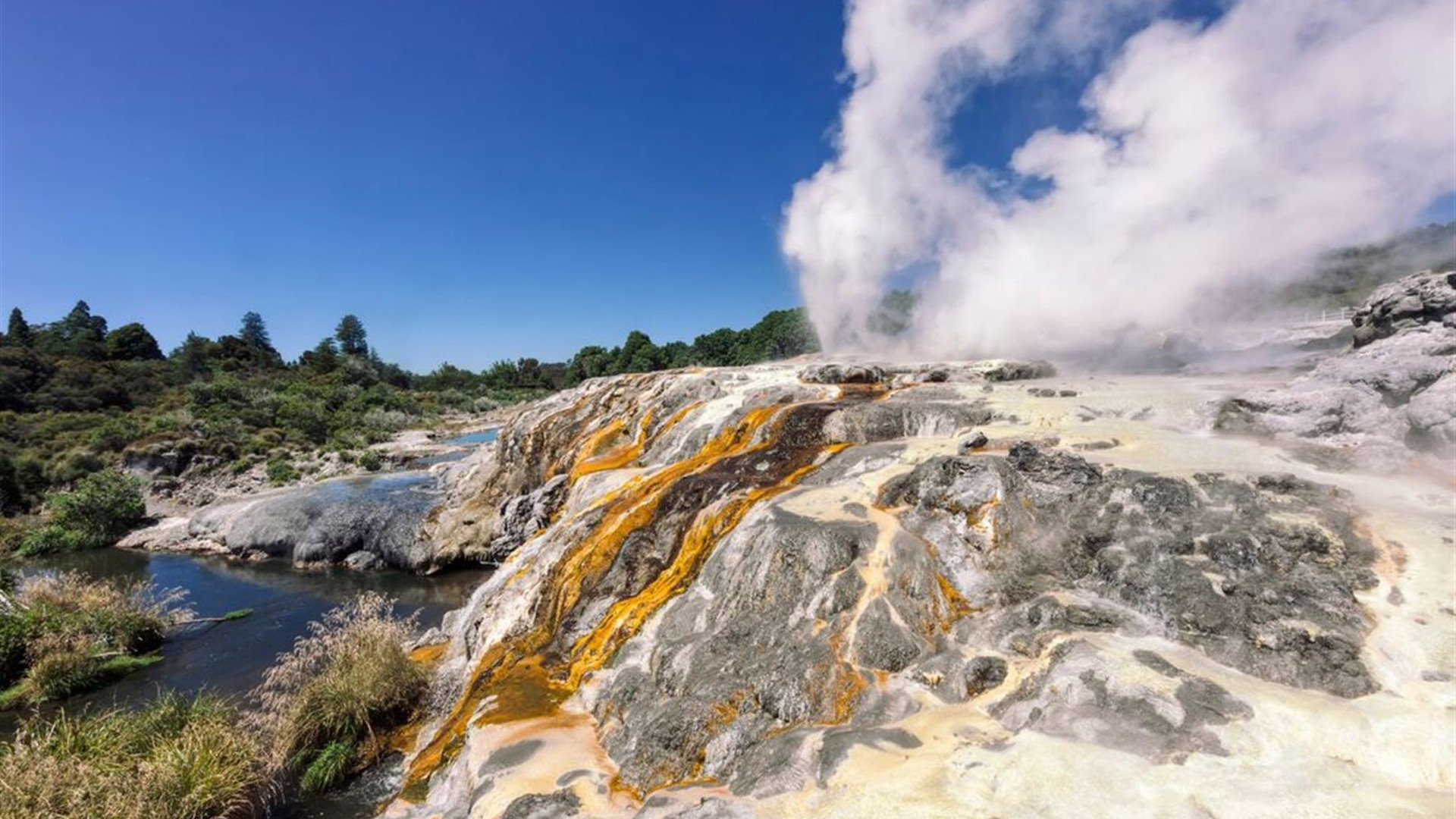 Epic New Zealand