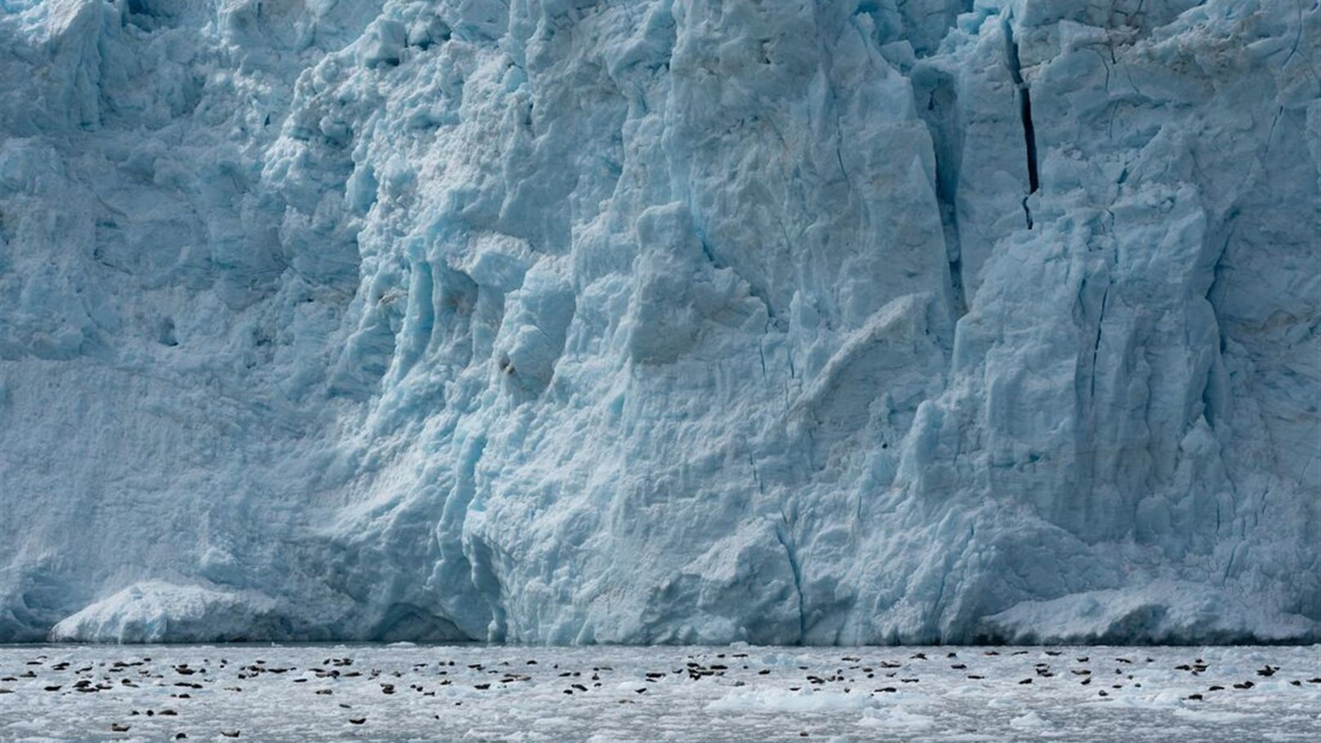 Alaska Discovery		