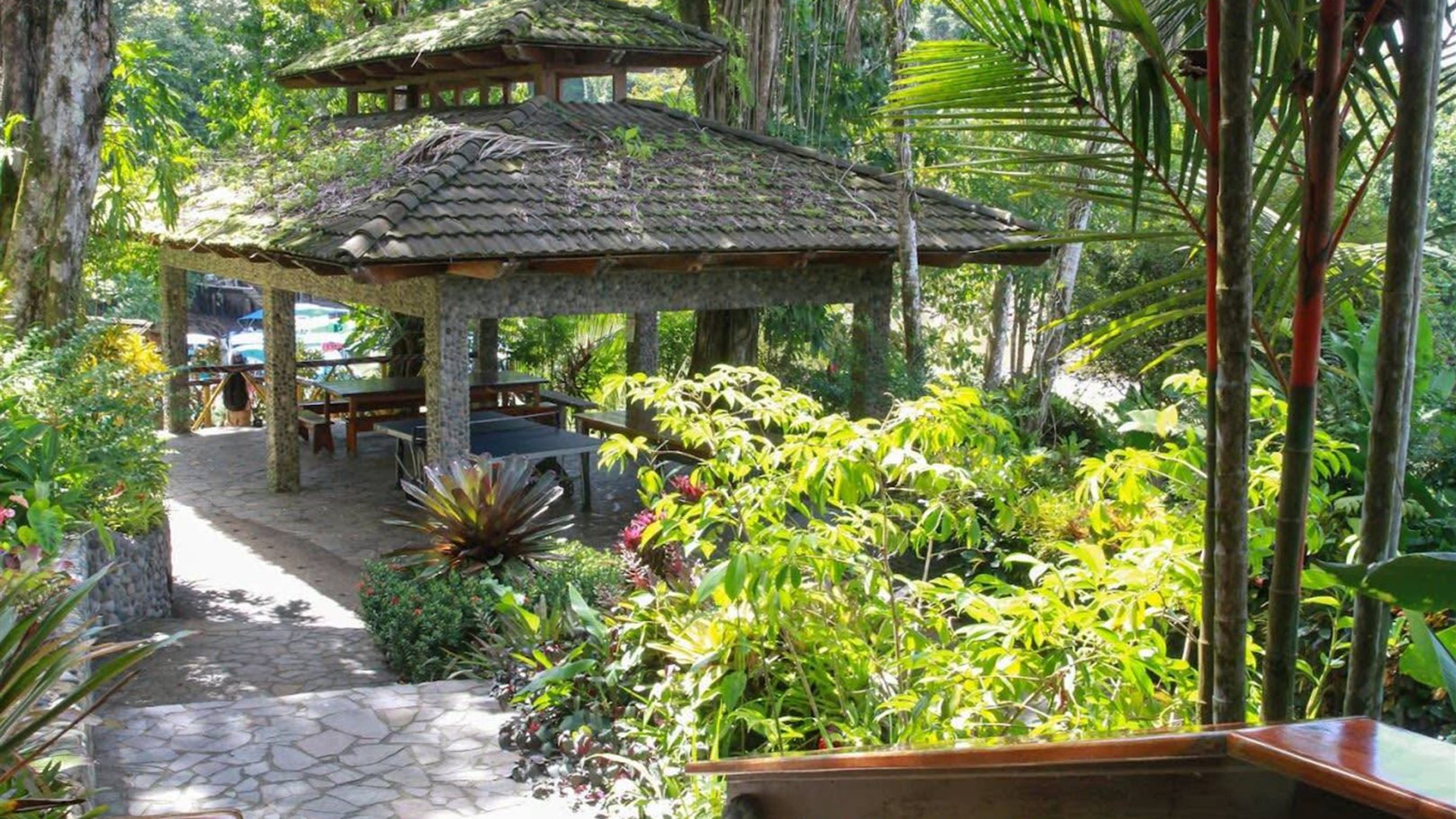 Wild Costa Rica