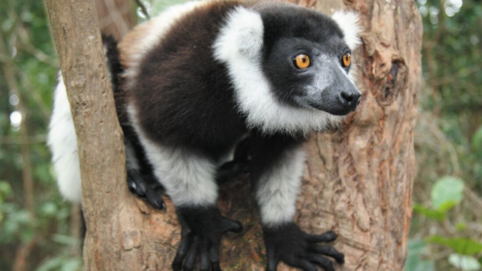 Madagascar Adventure