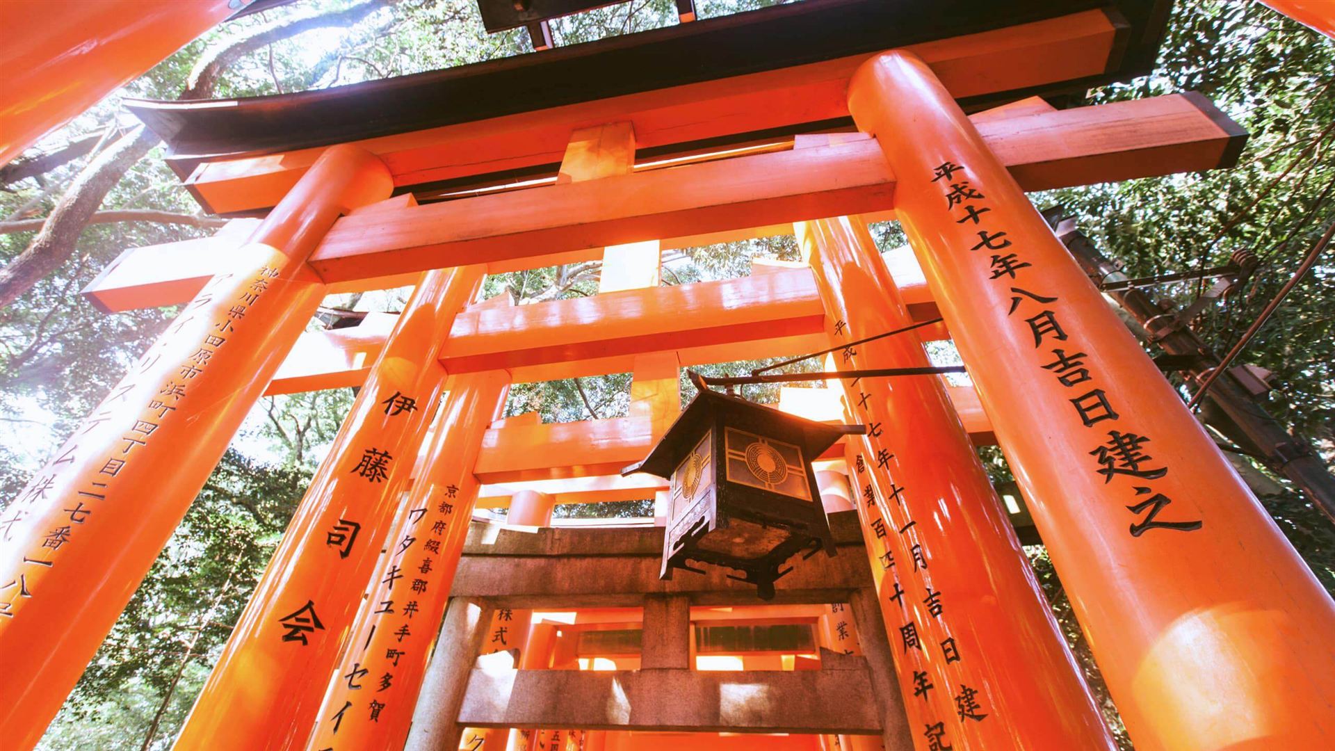 Japan in a Week
