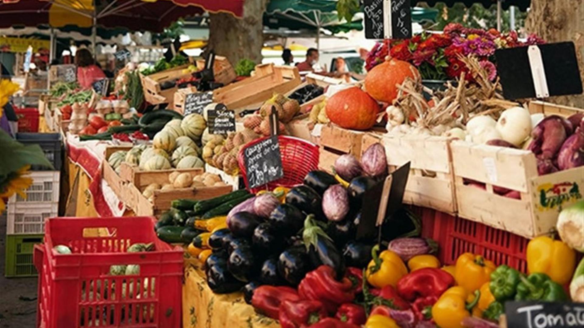 Journeys: Stories of Provence