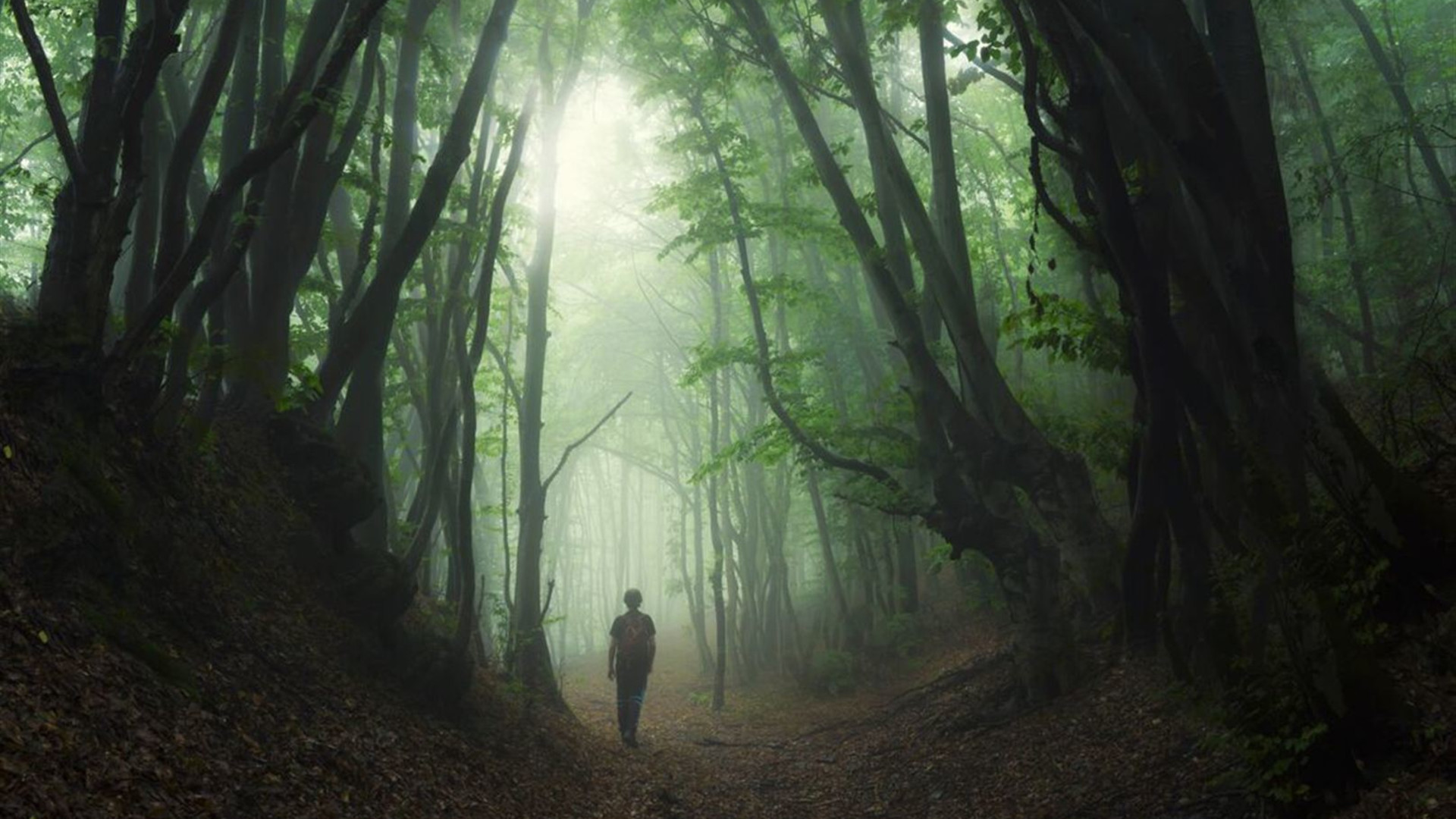 Hiking in Romania: Via Transilvanica Trail