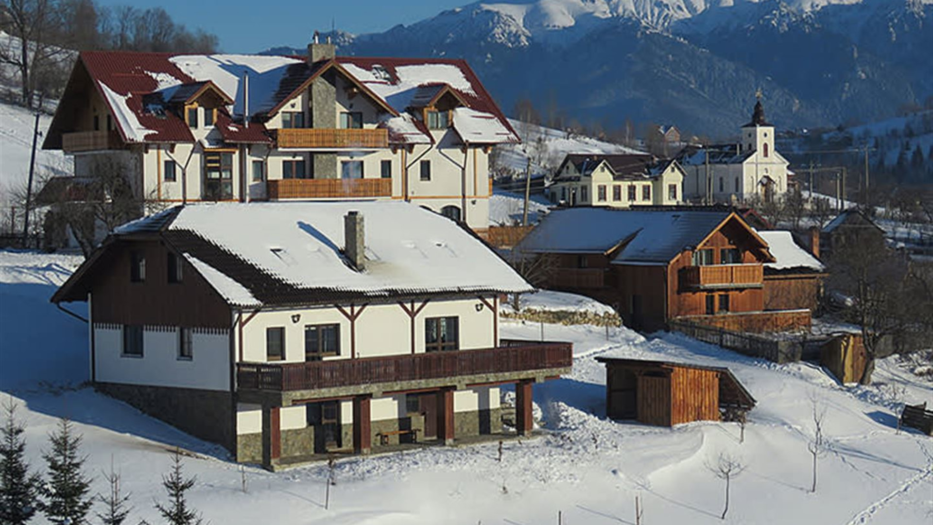 Transylvania Winter Walk & Snowshoe