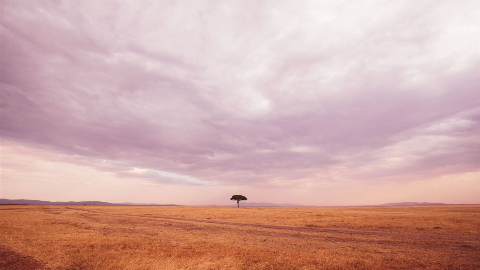 East Africa Highlights