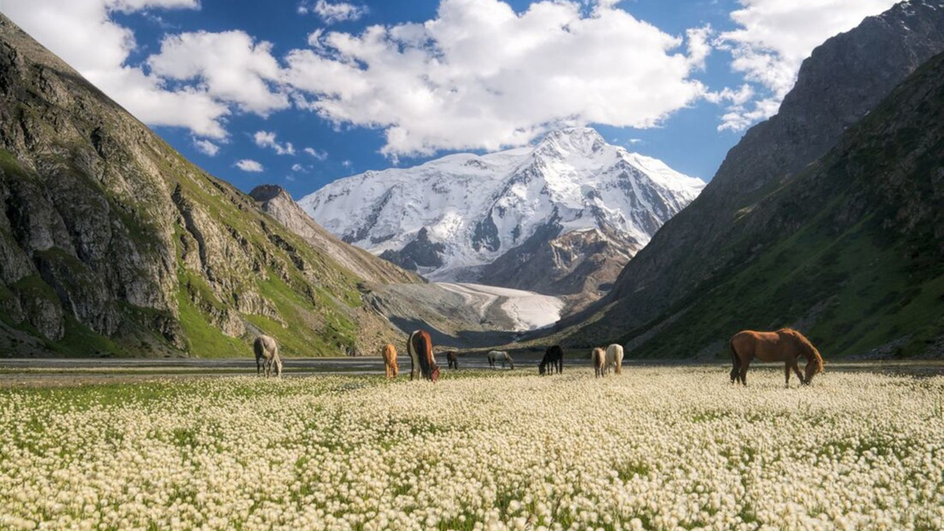 Kazakhstan & Kyrgyzstan Adventure