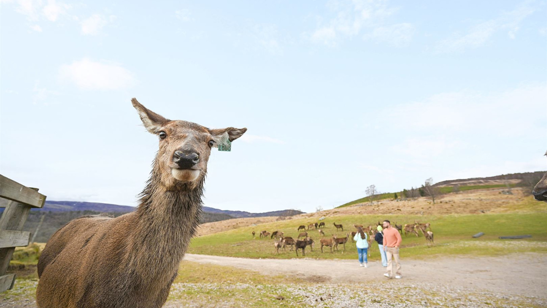 Scotland and Ireland