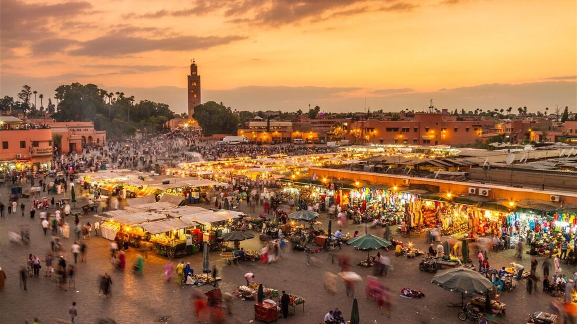 South Morocco Discovery