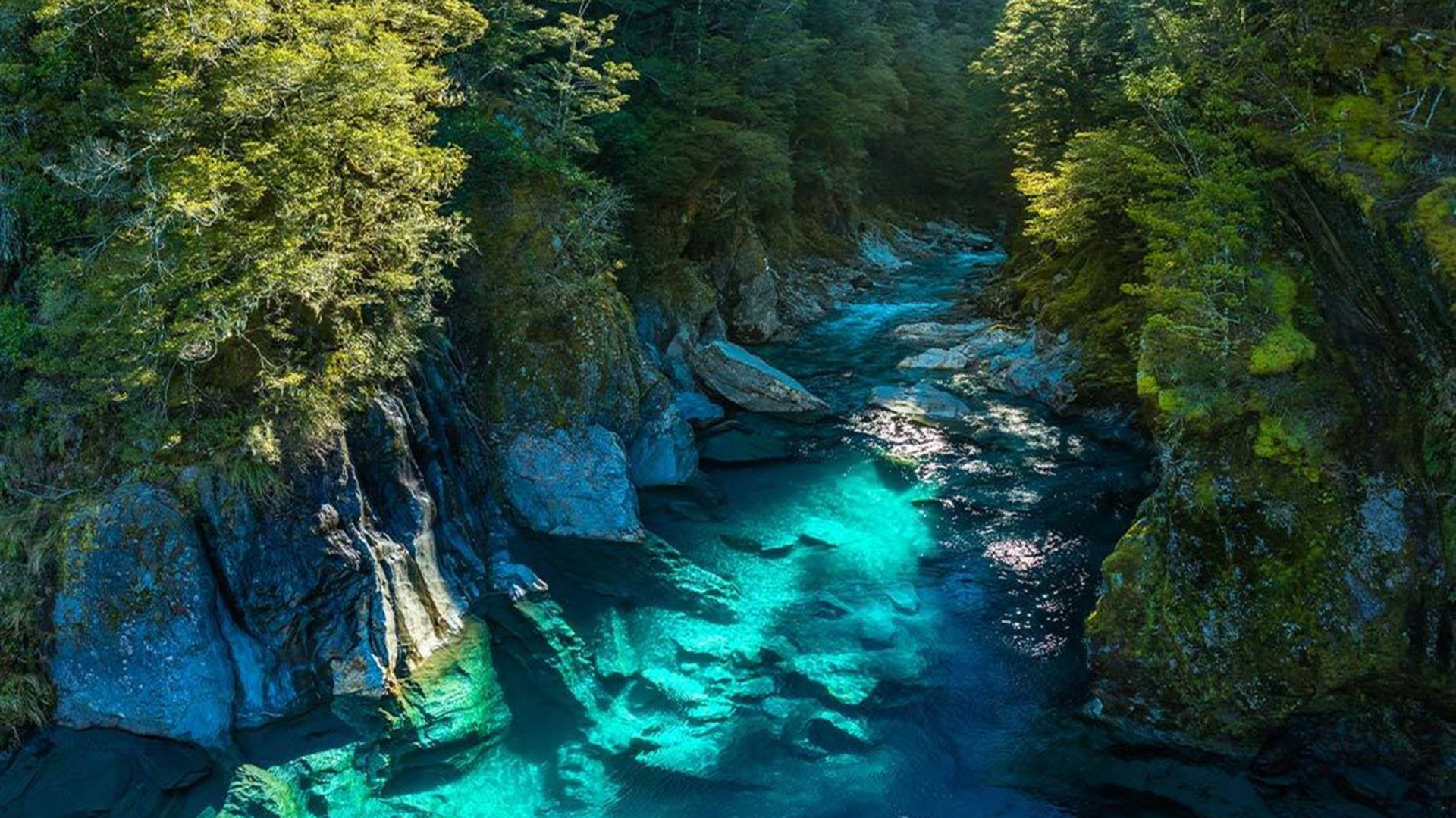 Premium New Zealand Encompassed