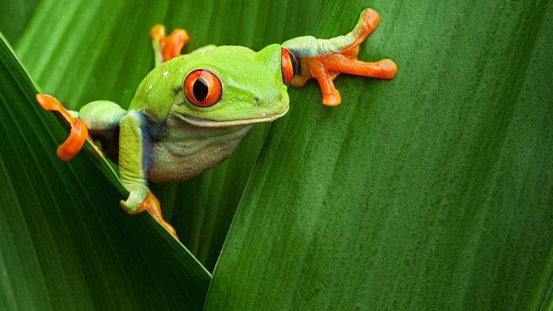 Costa Rica Family Holiday