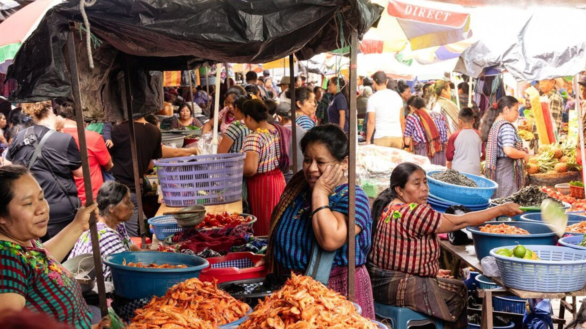 Best of Central America