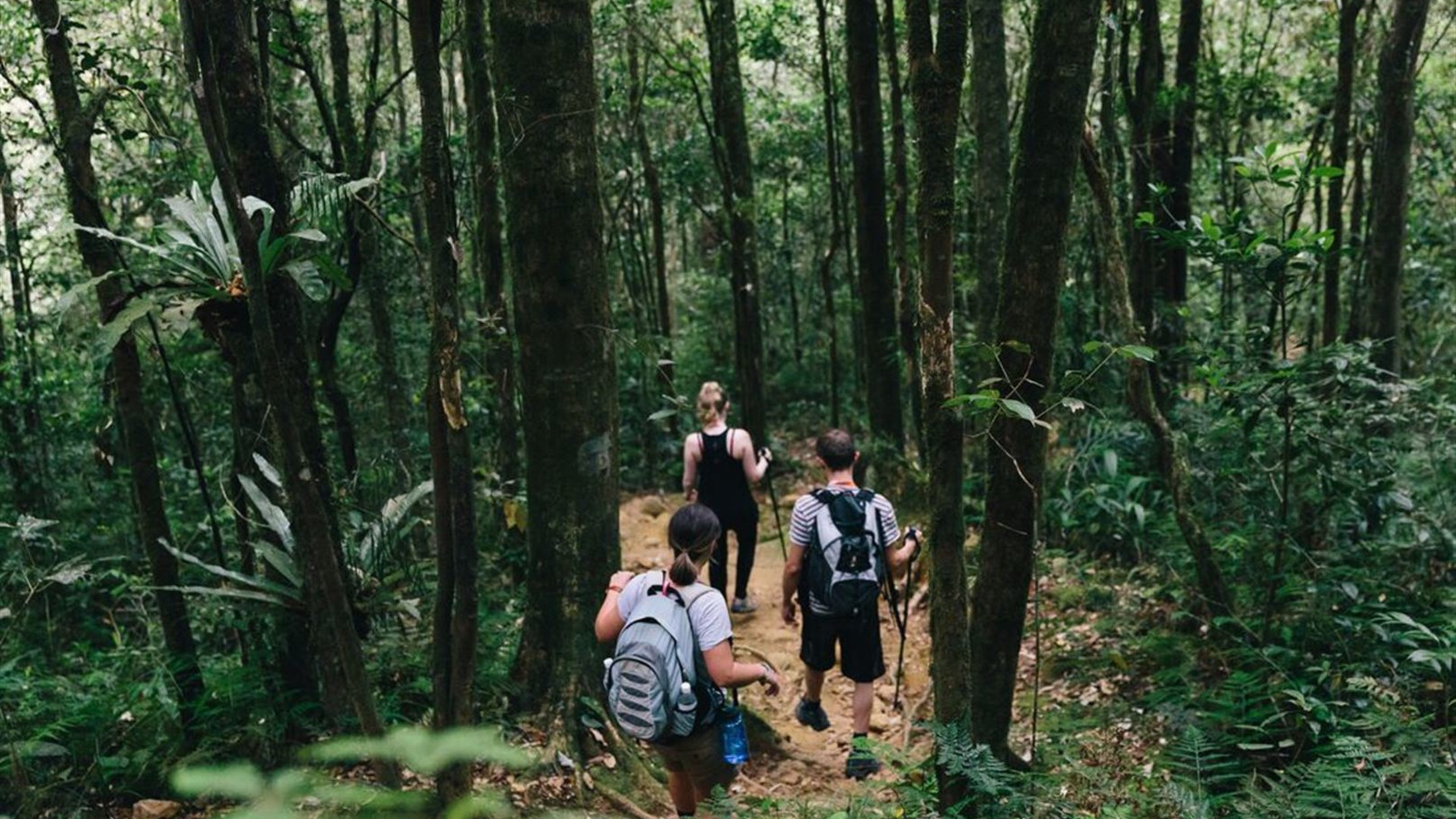 Sabah Adventure