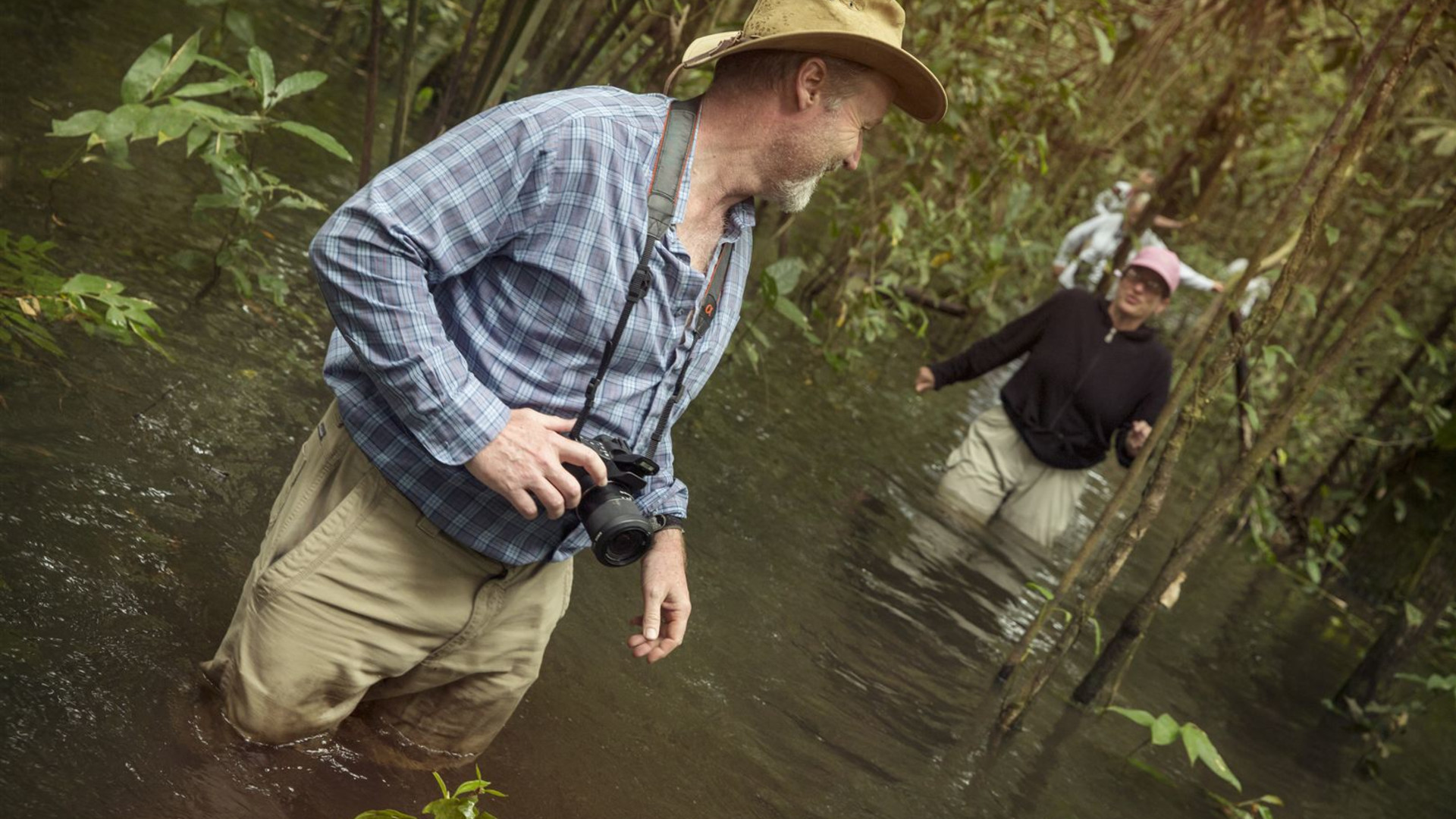 Amazon Riverboat Adventure In Depth