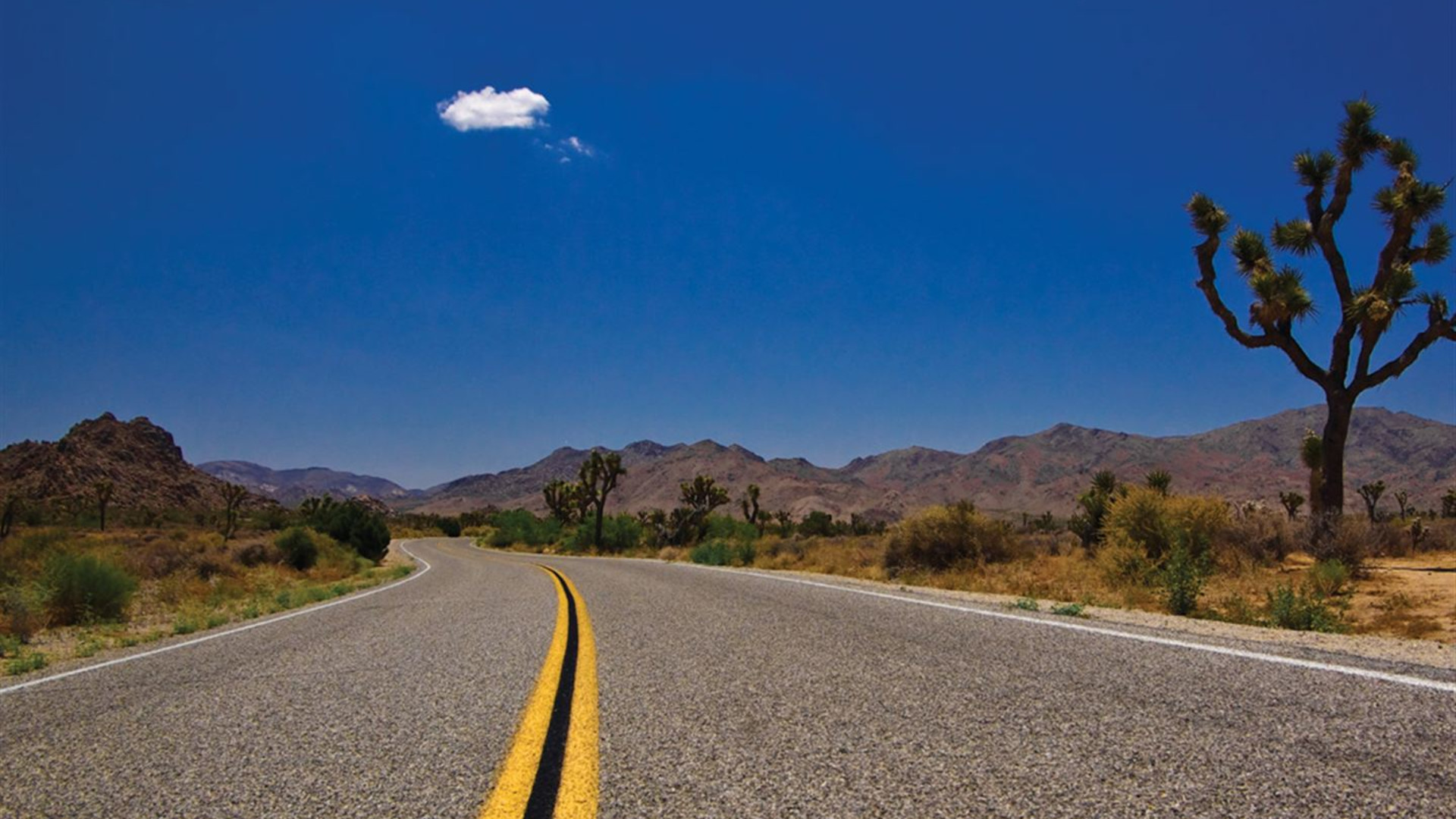 Roadtrip zum Besten im Westen: Kalifornien, Utah & Las Vegas