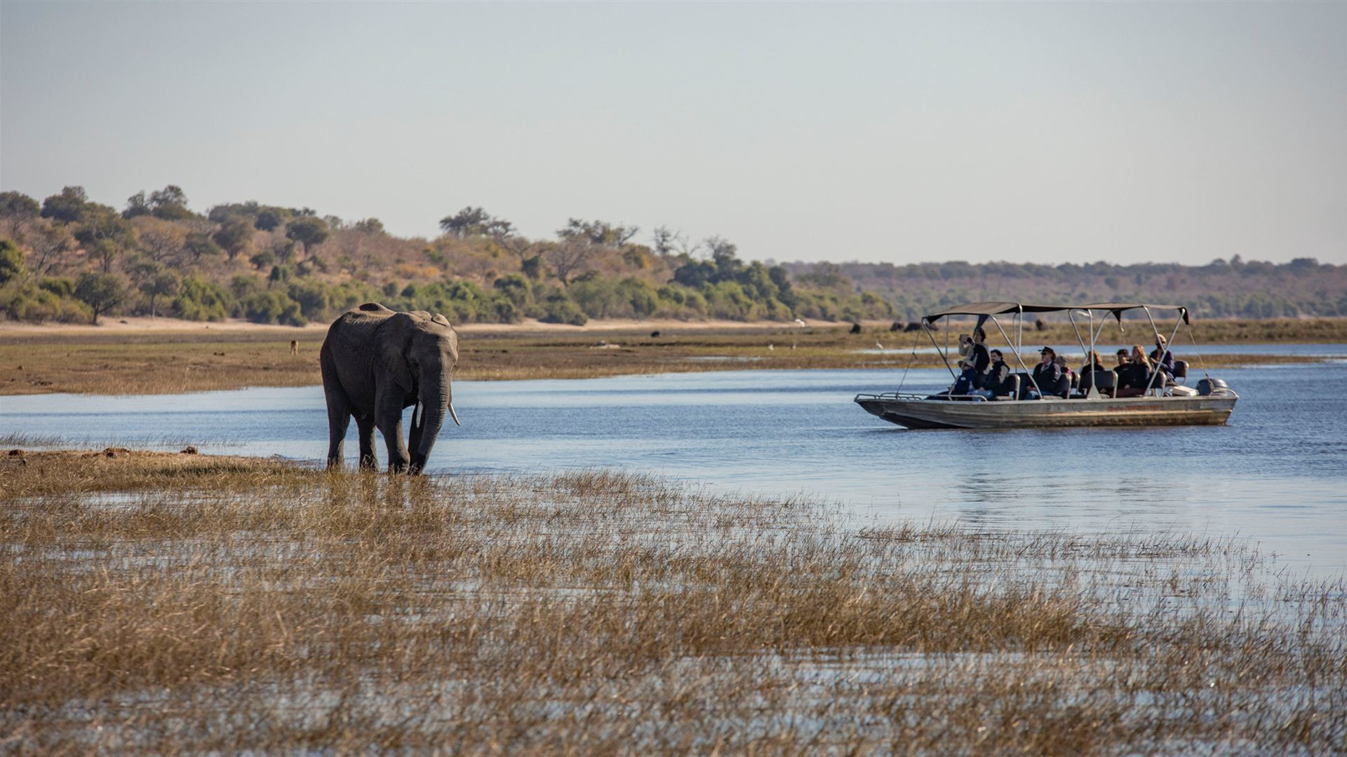 Botswana   komplett –   Nationalparks & Tierwelt im Delta