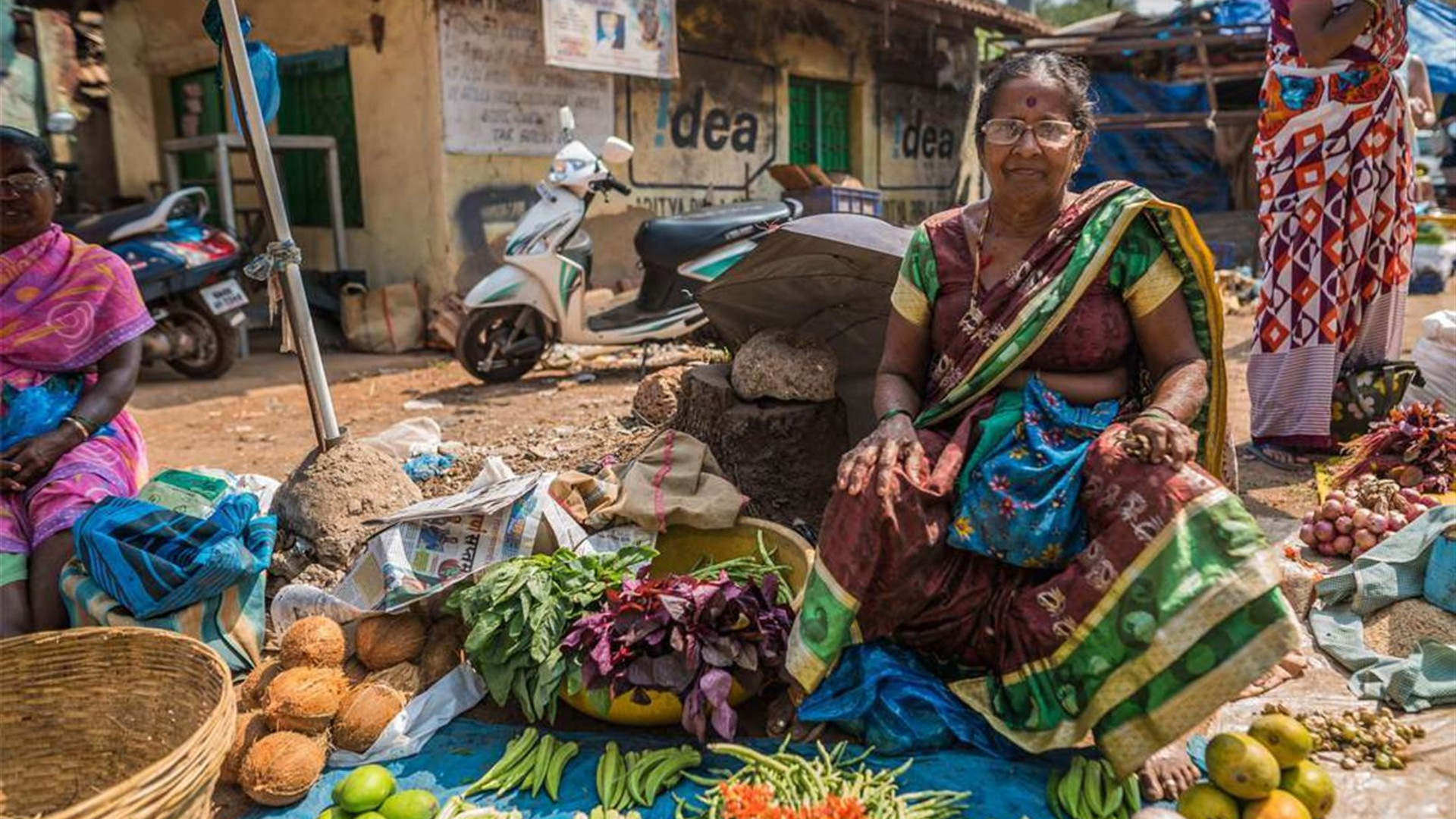 South India Revealed