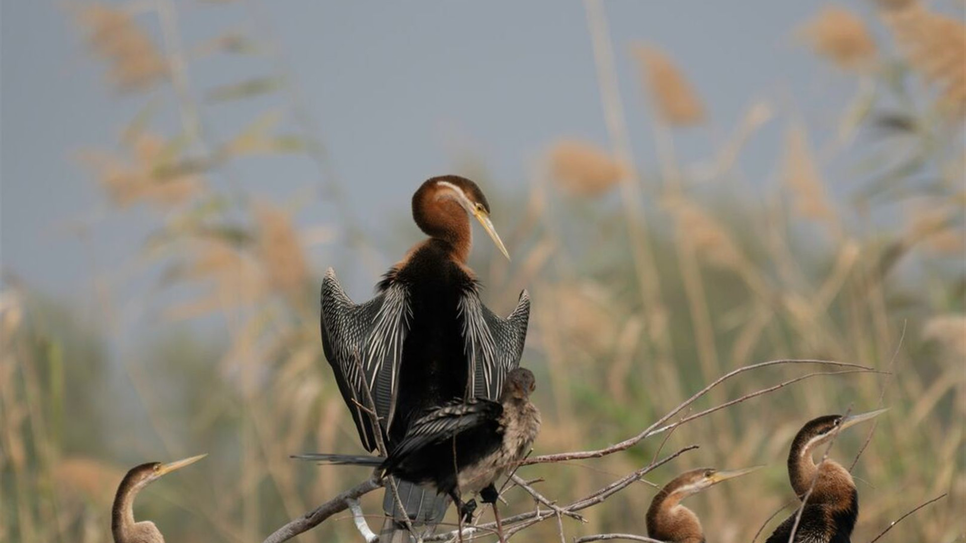 Senegal & The Gambia Adventure