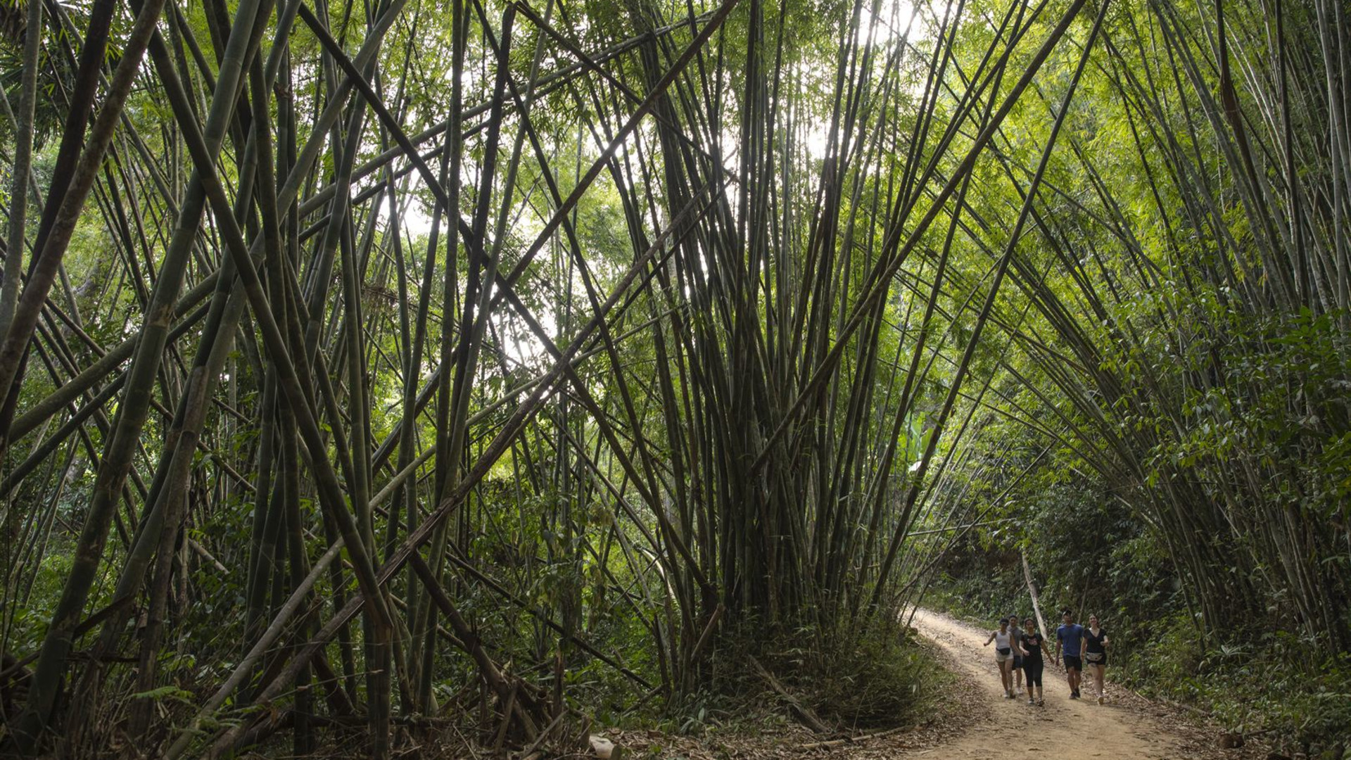Journeys: Explore Southern Thailand