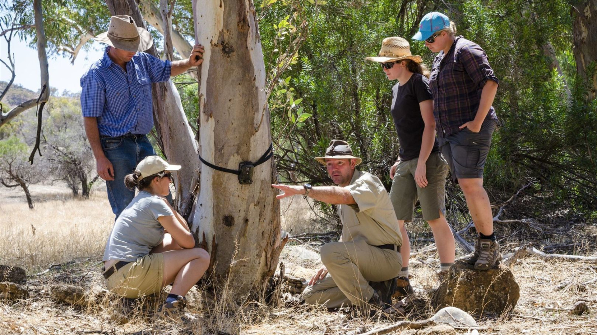 South Australia's Arkaba Walk (ex-Adelaide)