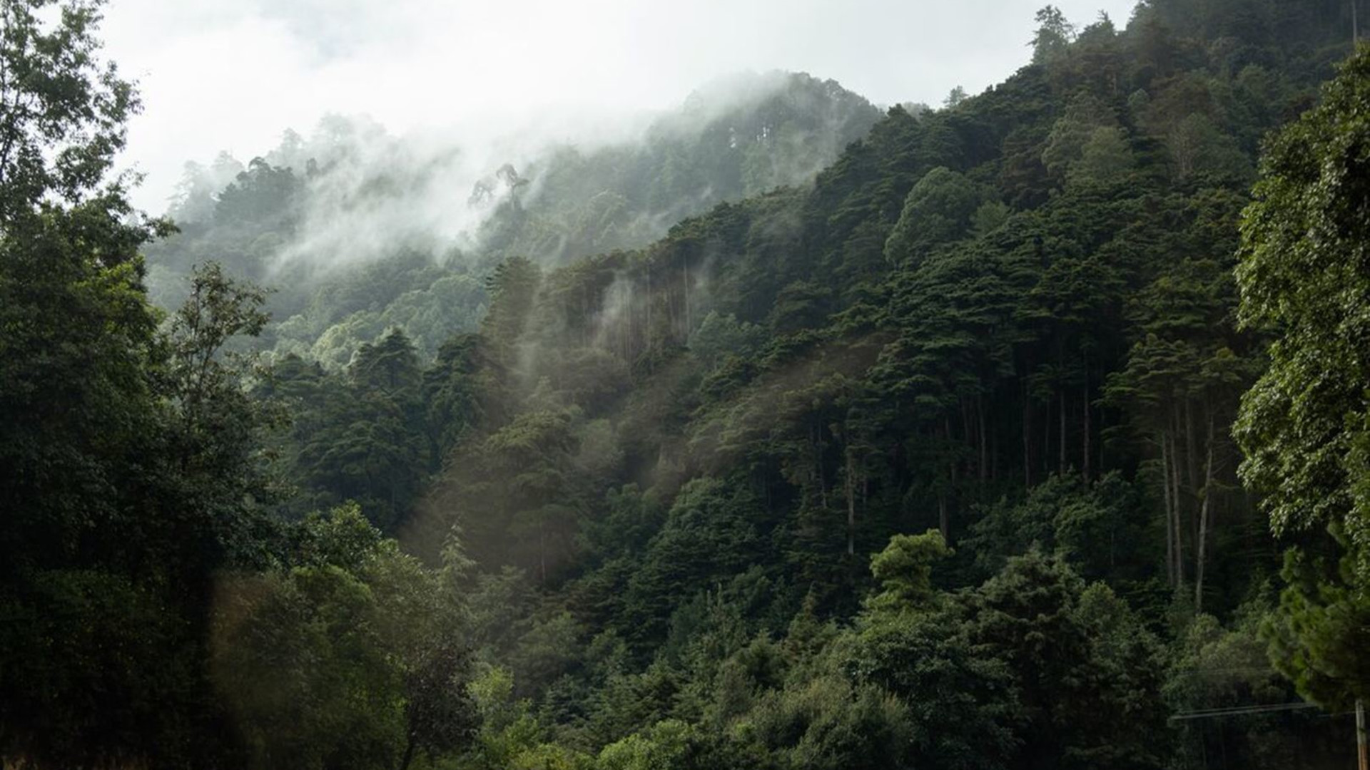 Best of Central America