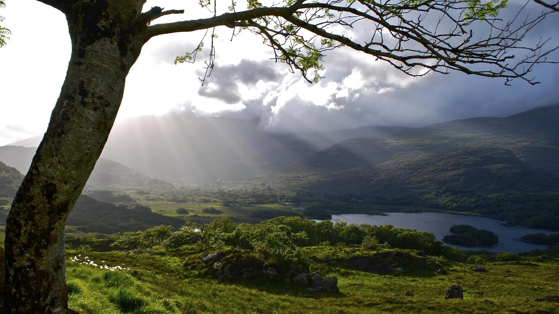 Irland: Wanderungen an der Küste, auf der Beara-Halbinsel und im Killarney-Nationalpark