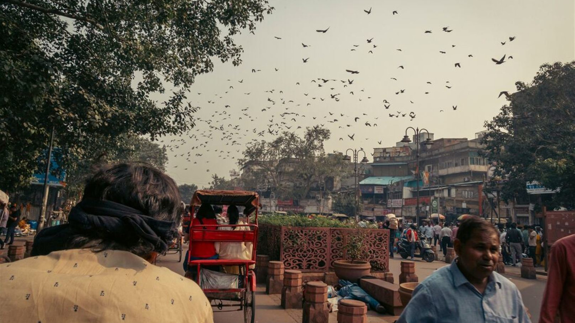 North India Highlights