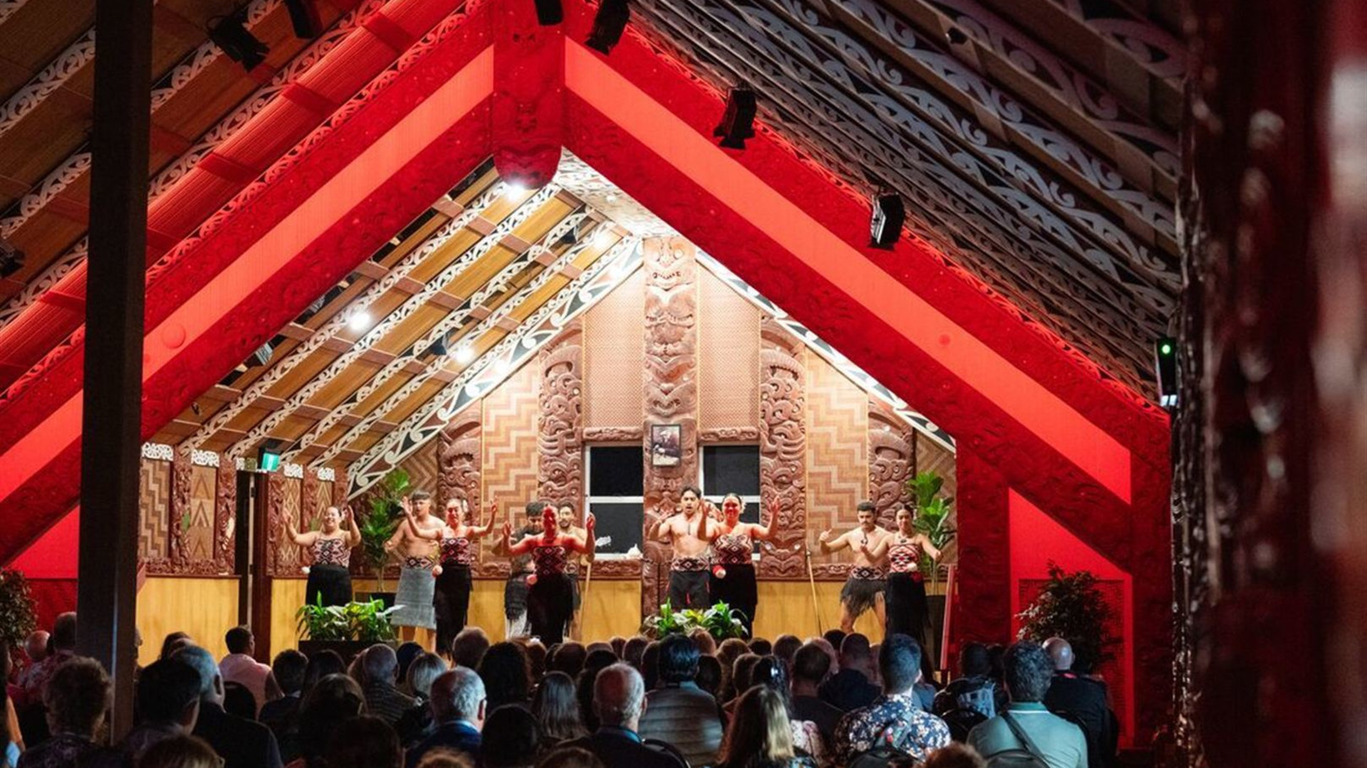 New Zealand's South to North Island Adventure 