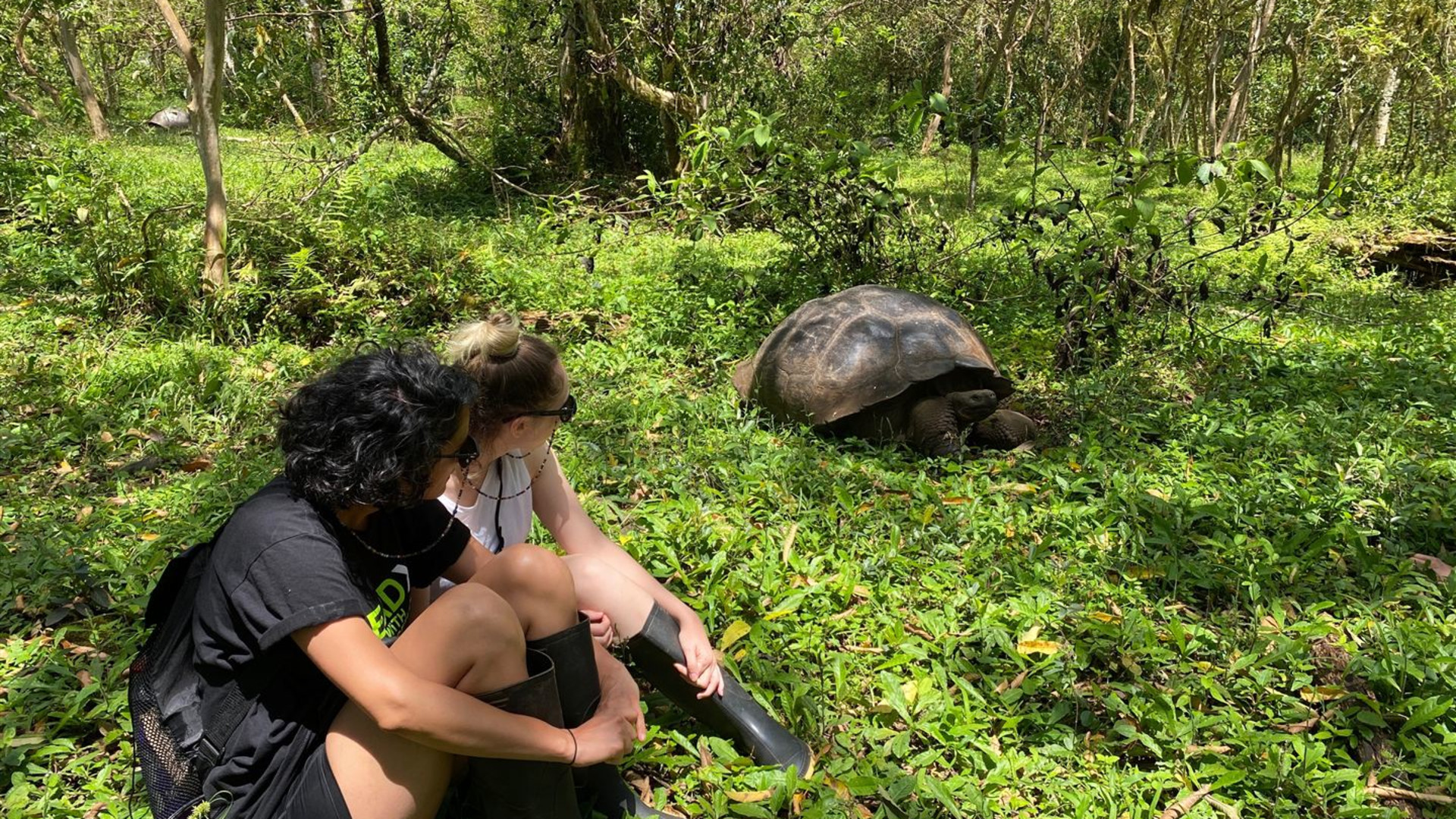 Galápagos – Östliche, zentrale und westliche Inseln an Bord der Eden