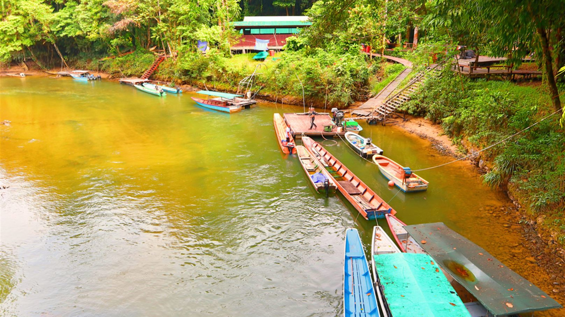 Wild Sarawak