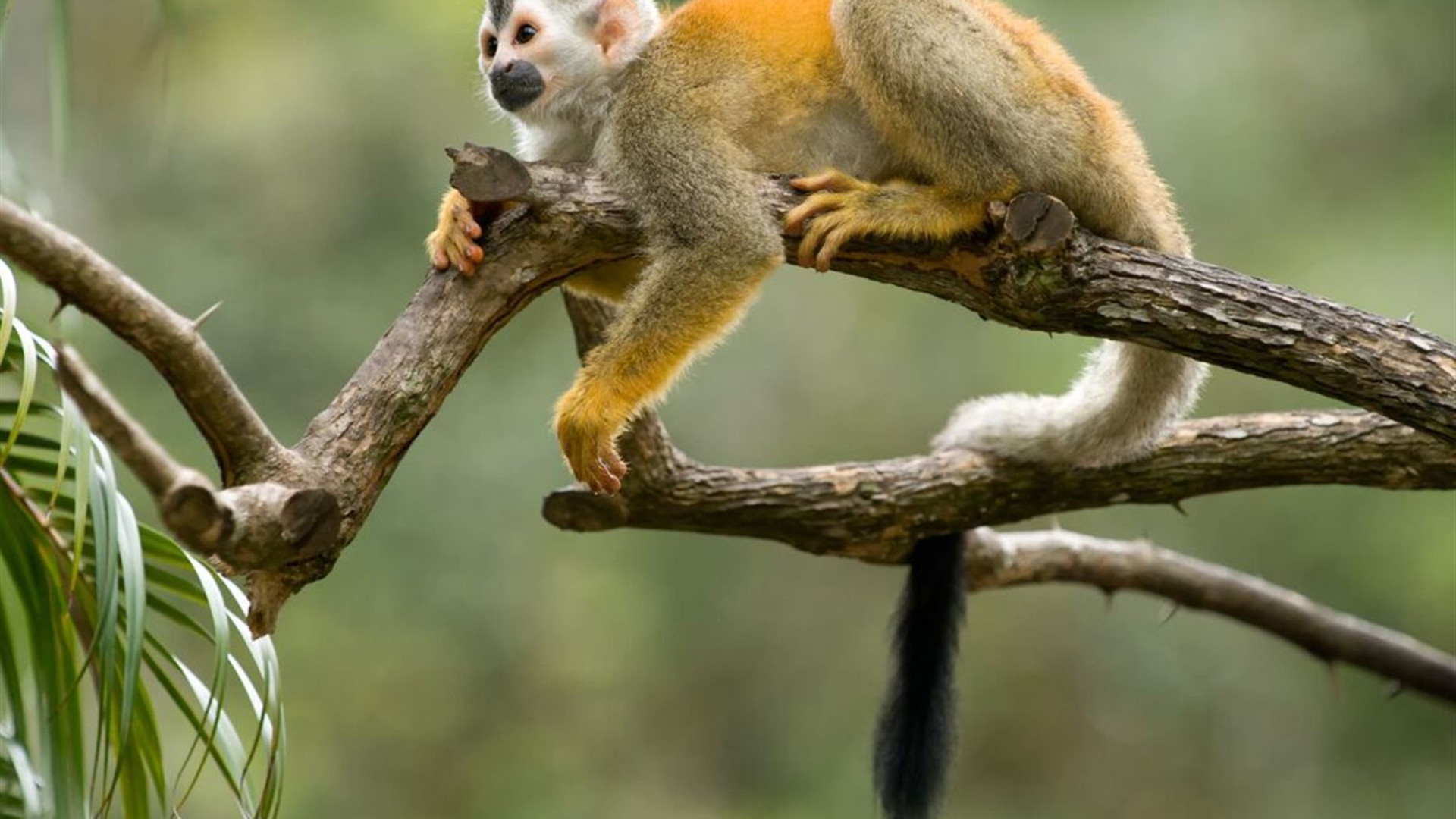 Costa Rica: Hike, Bike & Raft