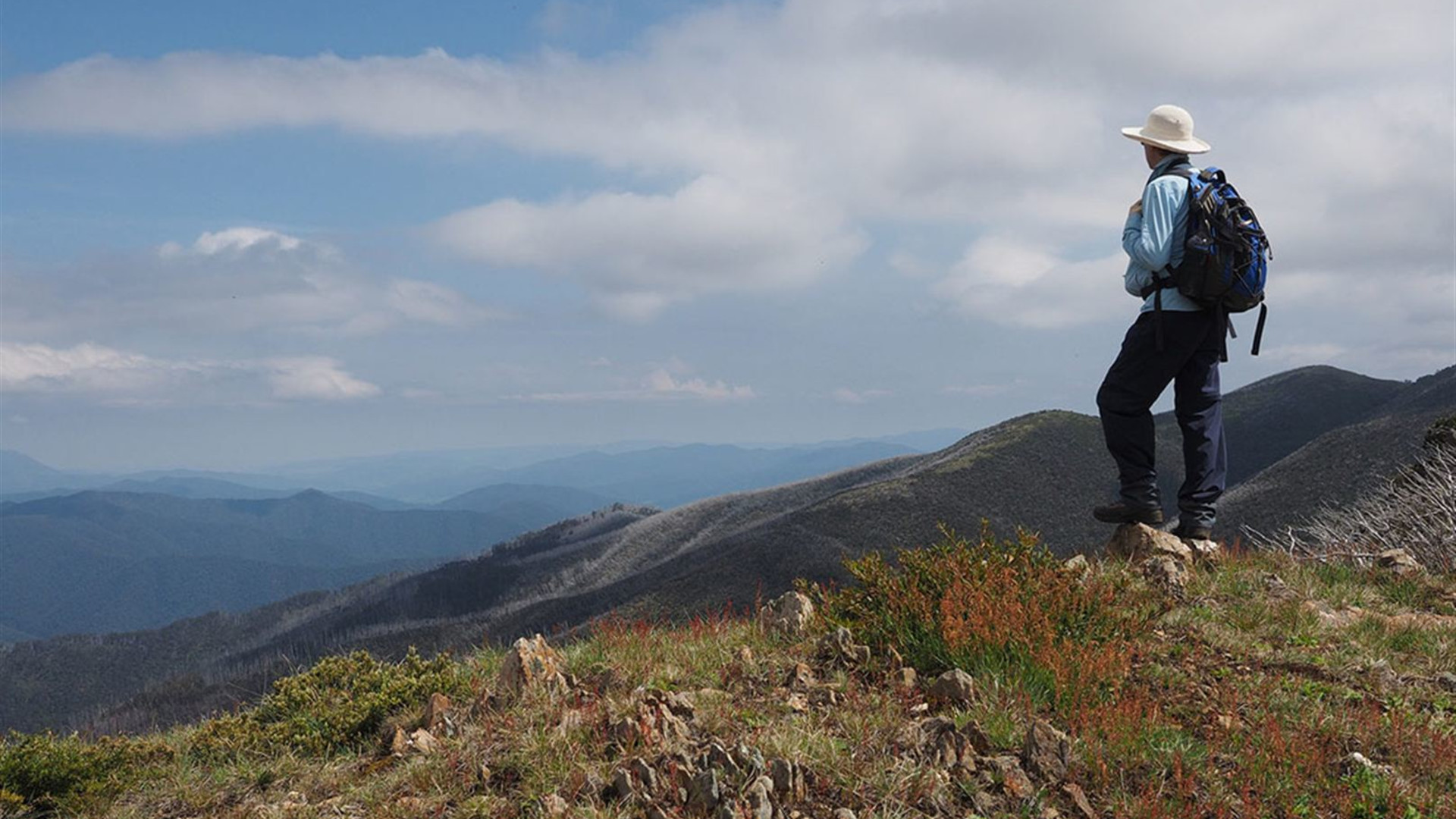 Walk Victoria's High Country