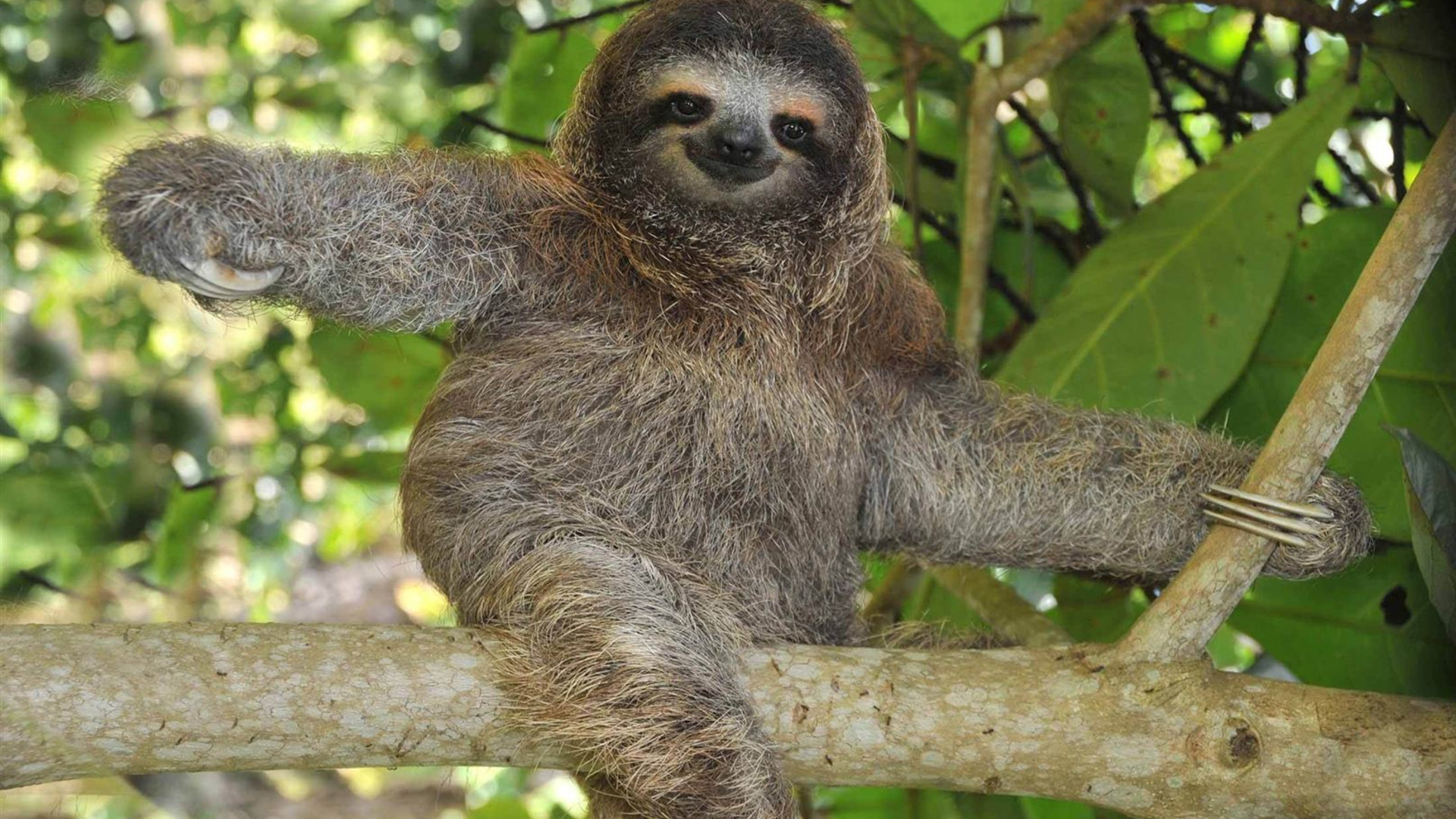 Premium Costa Rica