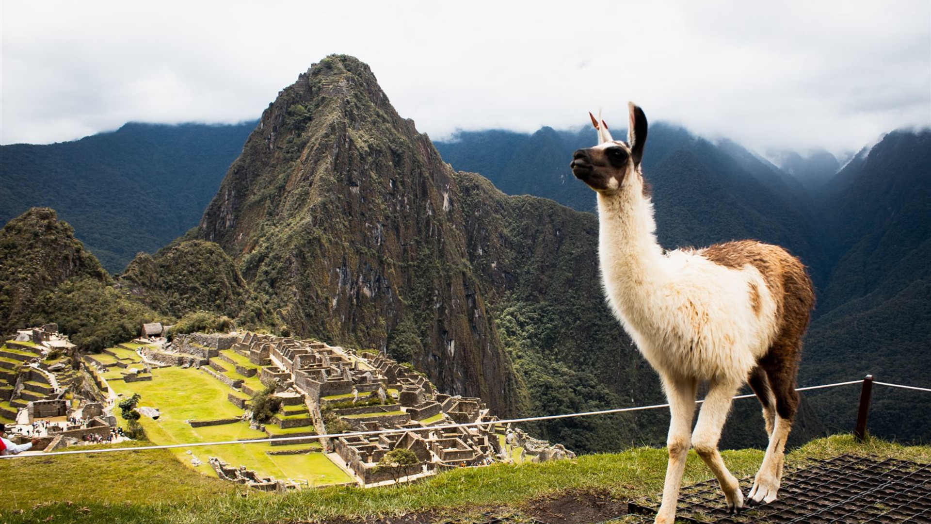 Peru: From Lima to Lake Titicaca 