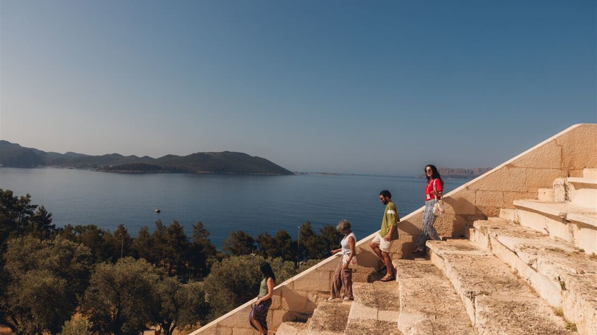 Premium Turkey in Depth