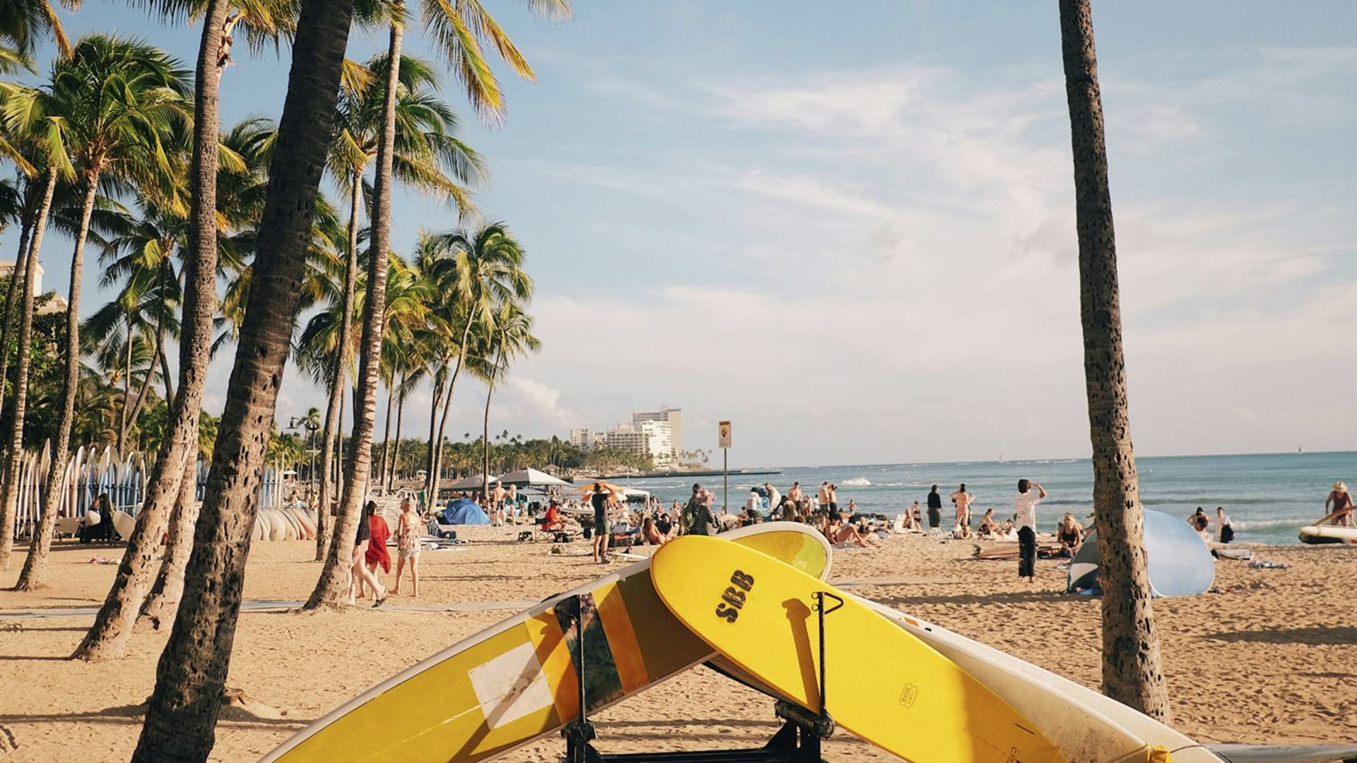 Hawaiian Adventure