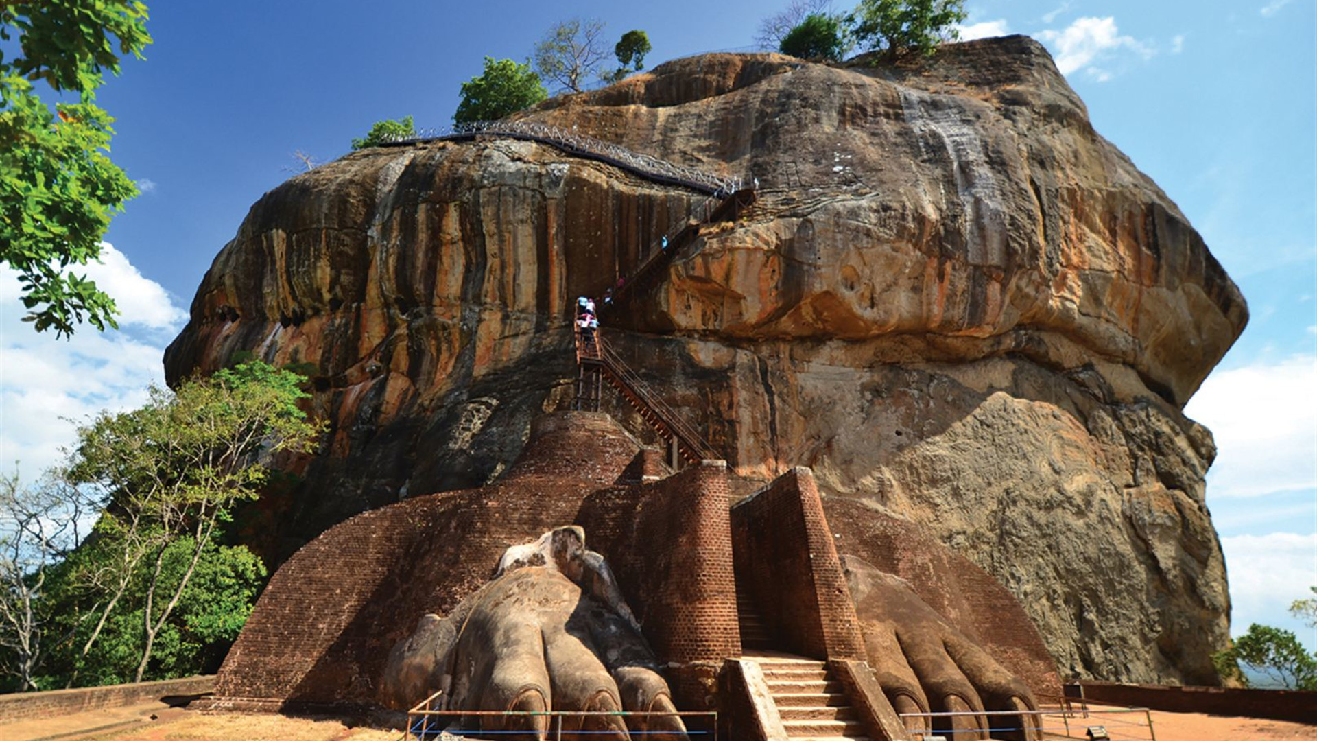 Sri Lanka Safari