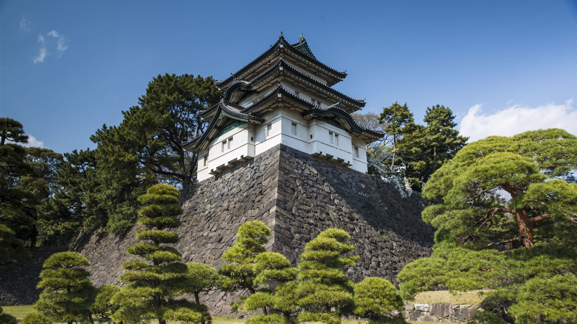 Entdecke Japan