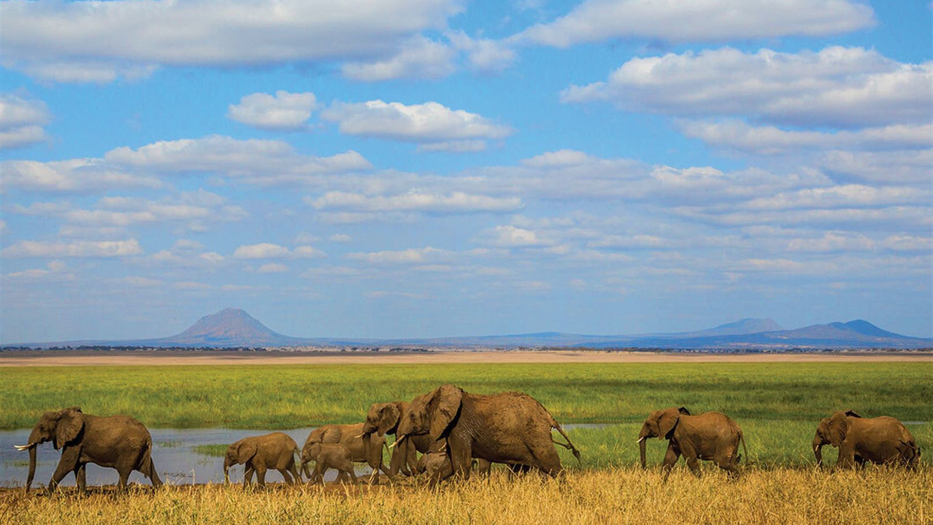 Premium Tanzania
