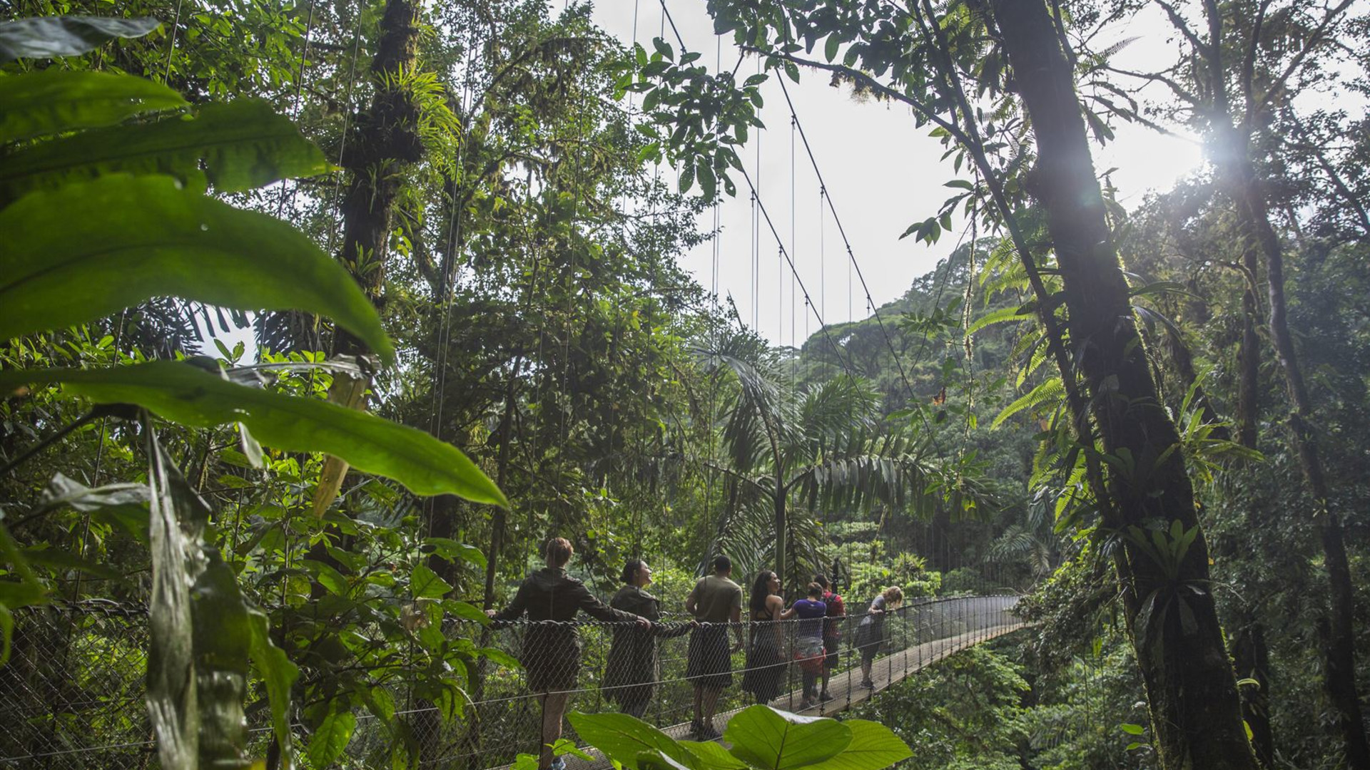 Abenteuer Costa Rica